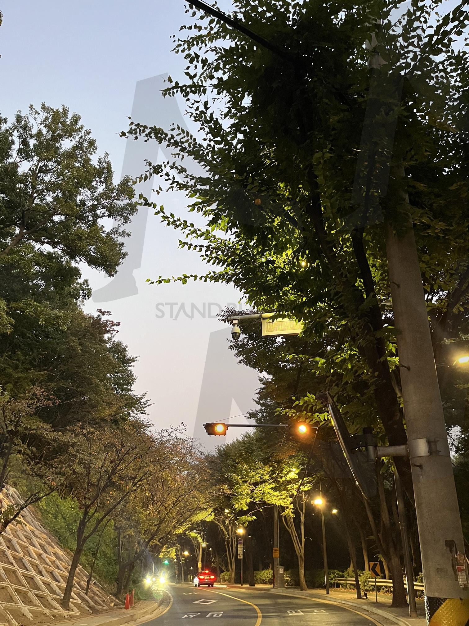 the night view of Seoul / 서울 야경 | 서울야경, 서초구 방배동, 도구머리길, night wire, seoul, 드라이브길 | 스탠바이 STANDBUY 디지털 콘텐츠