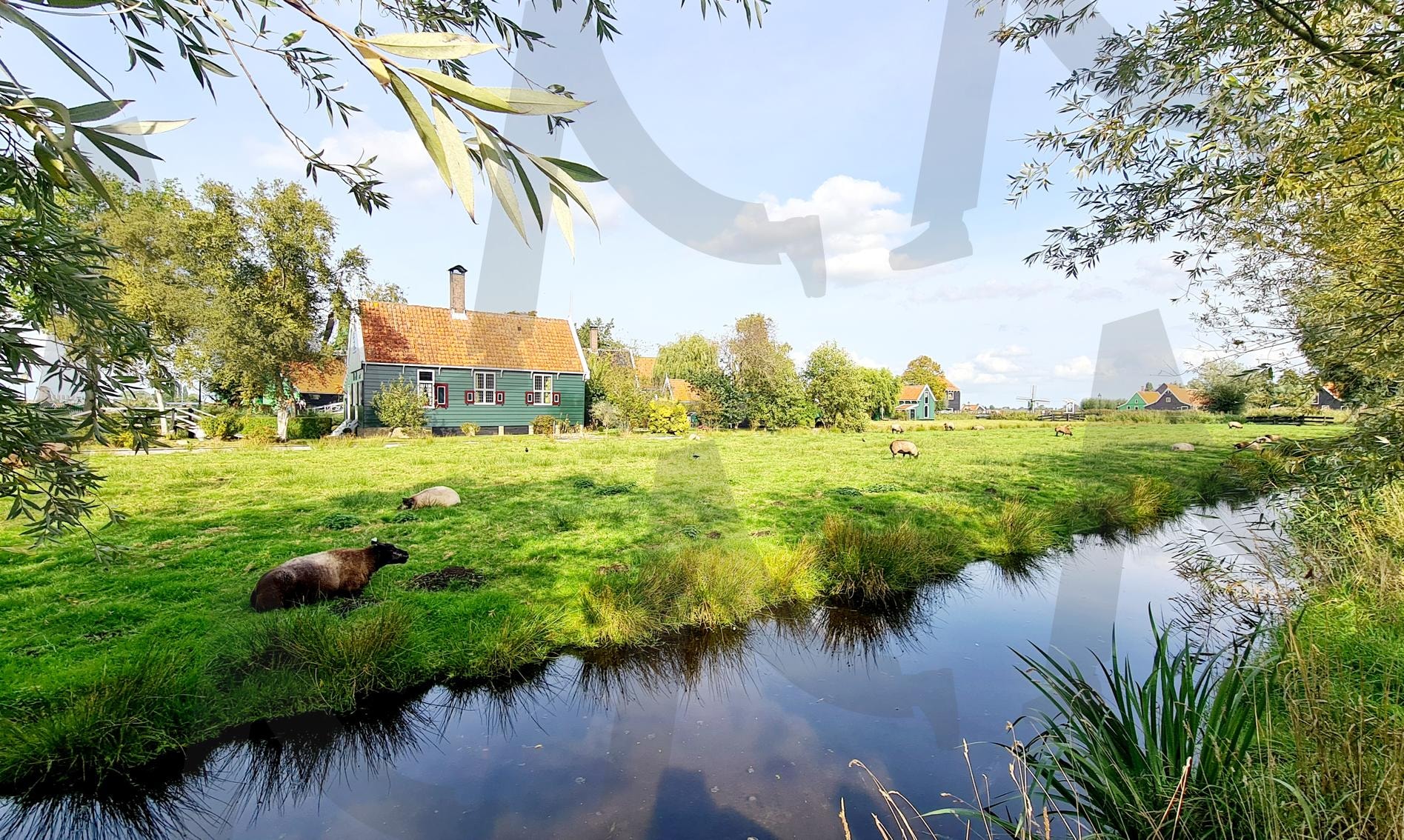 평화로운 마을 | 유럽, 잔세스칸스, 네덜란드, 풍차마을, 강, 아름다운, 평화로운, 좋은사람들 | 스탠바이 STANDBUY 디지털 콘텐츠