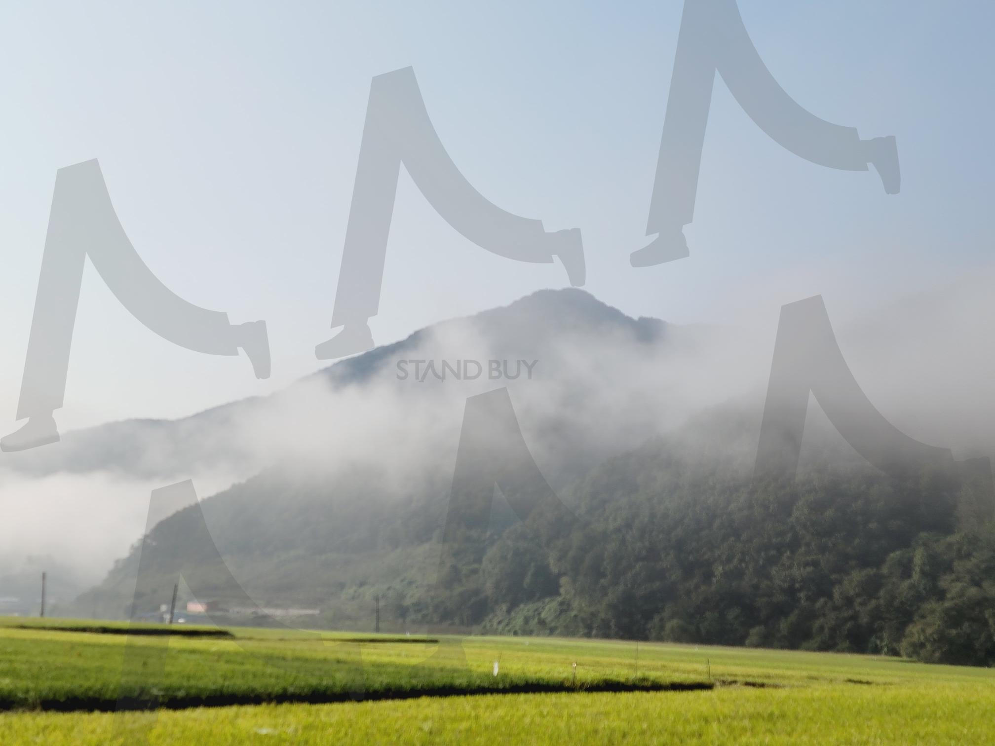 시골 산과 안개풍경 | 시골, 산, 안개, 몽환적, 풍경, 자연, 힐링 | 스탠바이 STANDBUY 디지털 콘텐츠