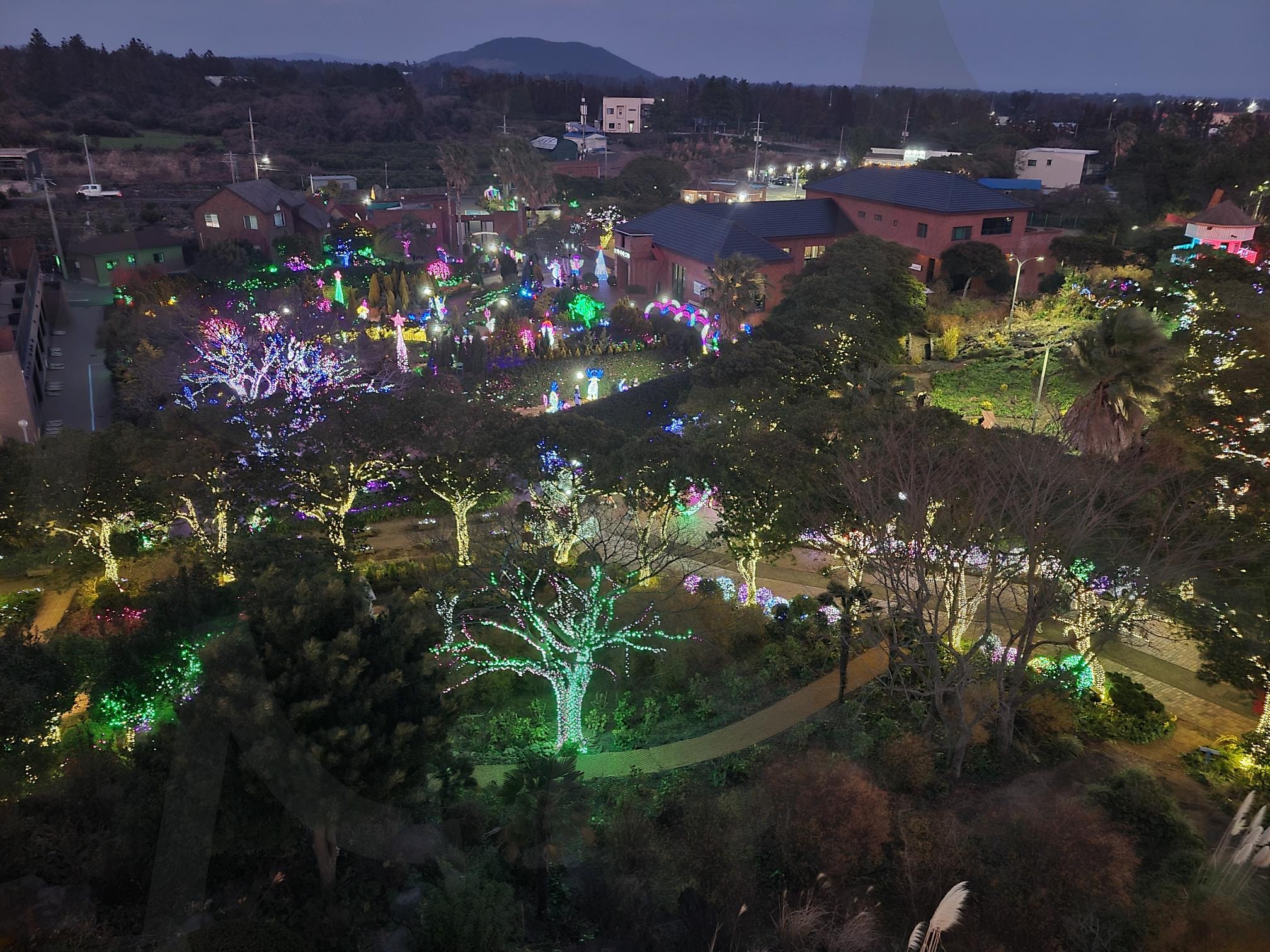 제주 불빛정원 | 제주도, 불빛정원, 겨울, 빛, 야경 | 스탠바이 STANDBUY 디지털 콘텐츠