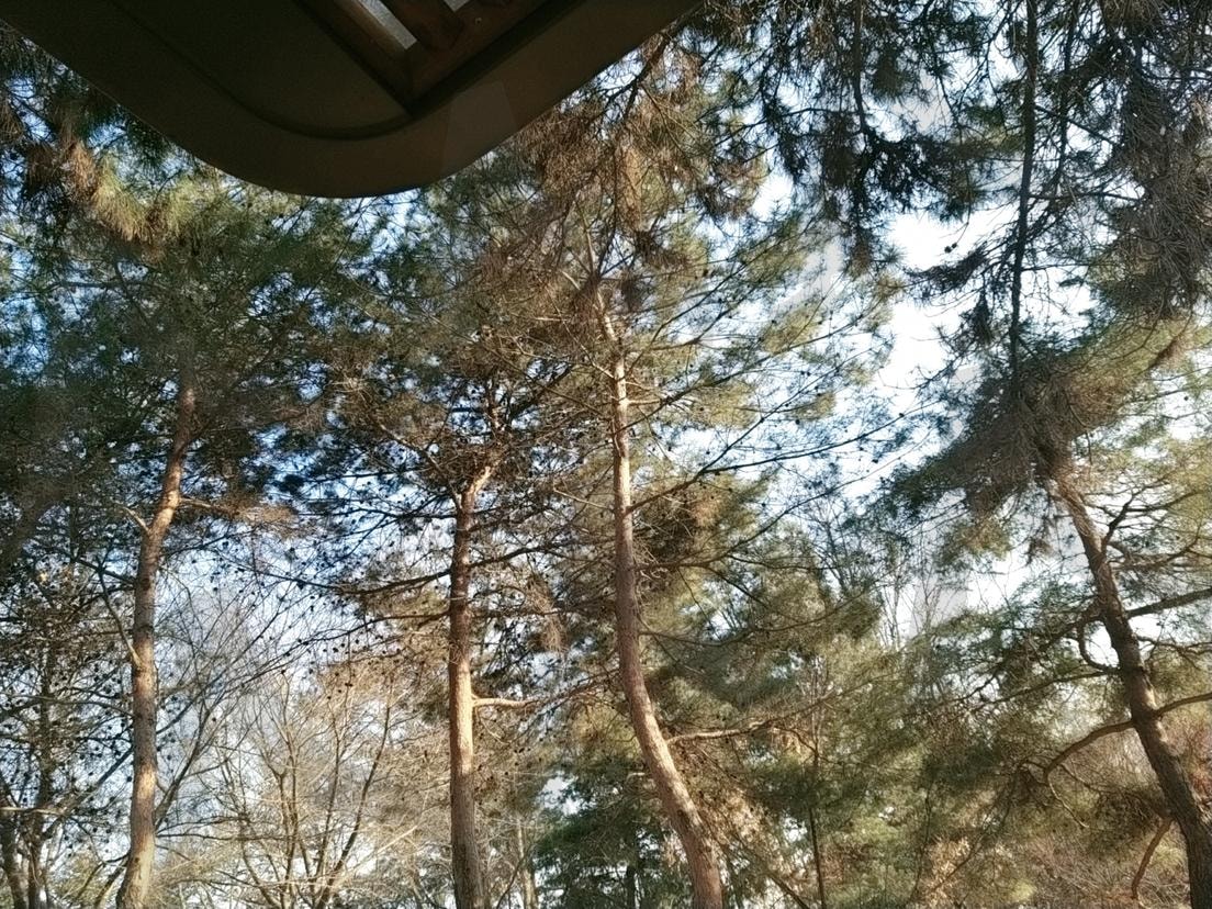 동네 산책 풍경 | 숲, 산책, 힐링, 풍경, 휴식, 자연, 일상 | 스탠바이 STANDBUY 디지털 콘텐츠