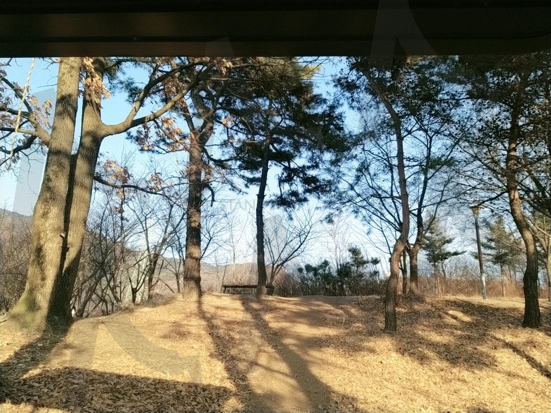 동네 산책길 | 동네, 산책길, 풍경, 힐링, 휴식, 산책, 대전 | 스탠바이 STANDBUY 디지털 콘텐츠