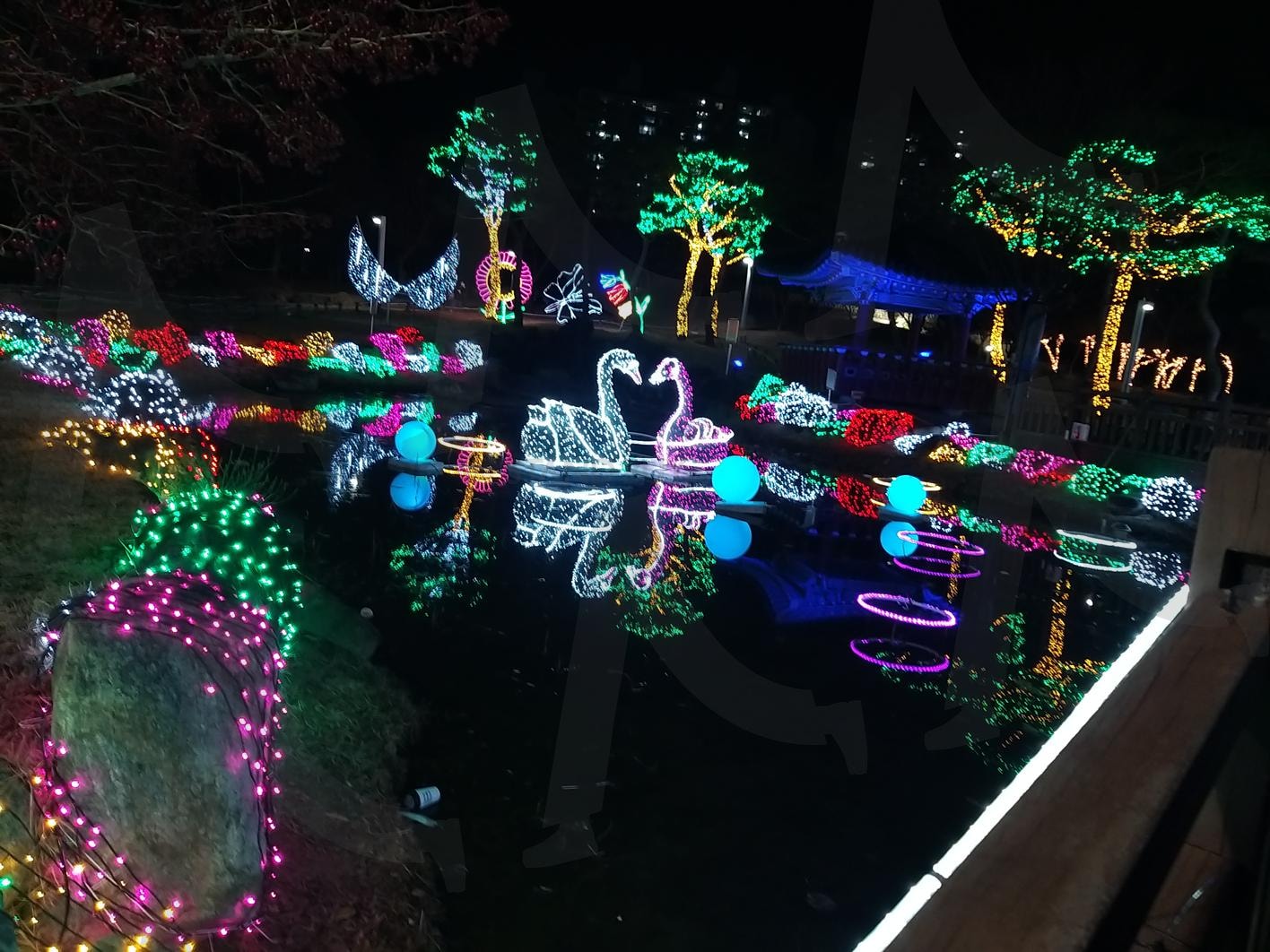 동춘당 풍경 | 동춘당, 공원, 풍경, 밤, 감성 | 스탠바이 STANDBUY 디지털 콘텐츠