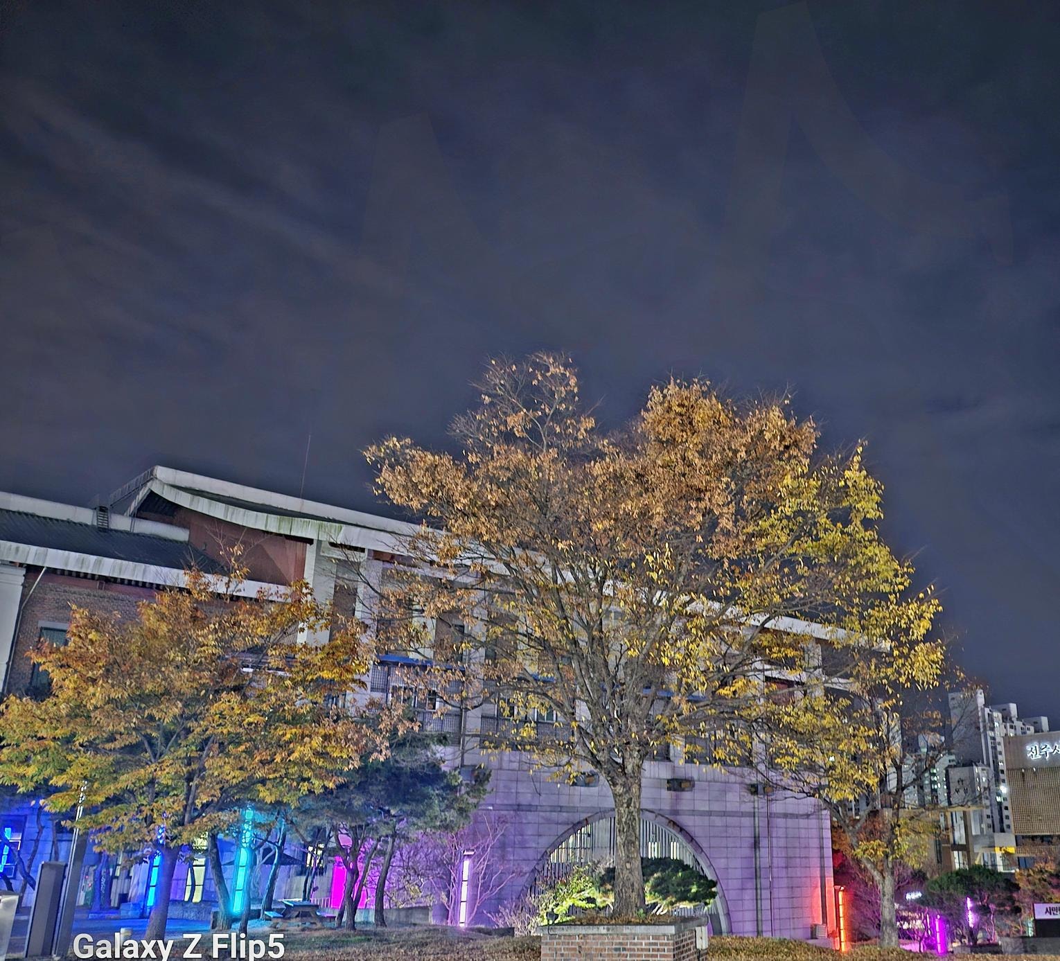 전주 중화산동 화산체육관 | 전주 화산체육관, 야간운동, 운동기구, 조형물, 빙상경기장, 꽃심도서관, 중화산동, 자연 | 스탠바이 STANDBUY 디지털 콘텐츠