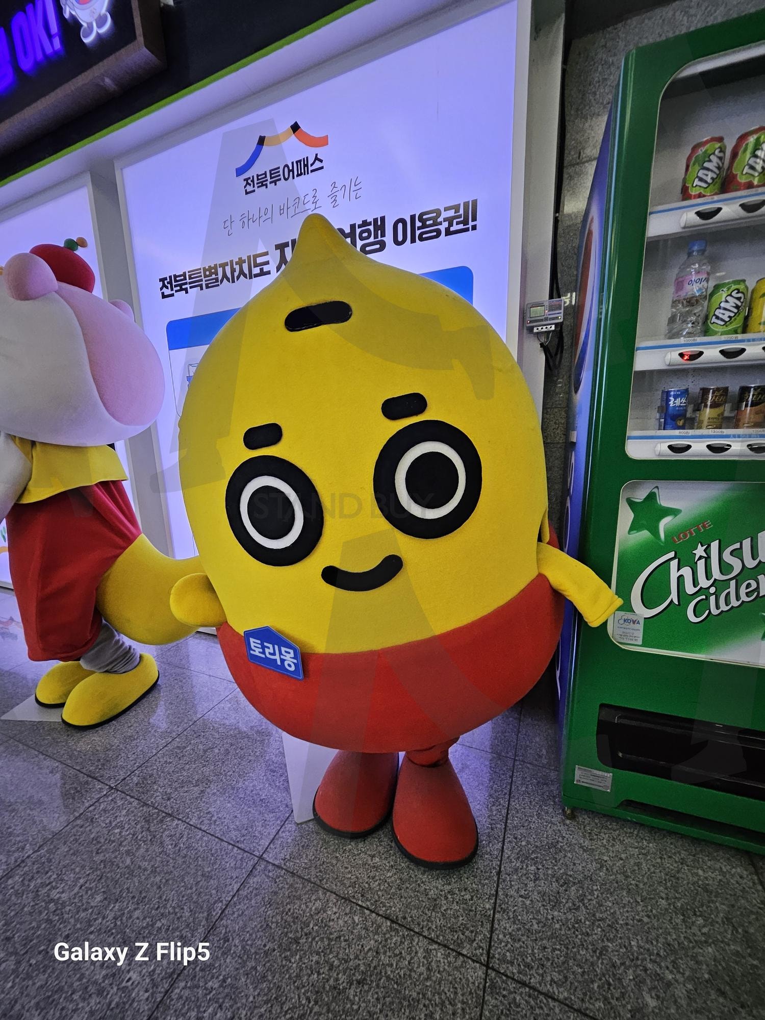 도청안에 캐릭터 토리몽 | 토리몽, 그외, 캐릭터, 전시되어있음, 전주여행, 이용권, 귀요미, 인증샷, 인형안에, 사람있는줄, 재미짐 | 스탠바이 STANDBUY 디지털 콘텐츠