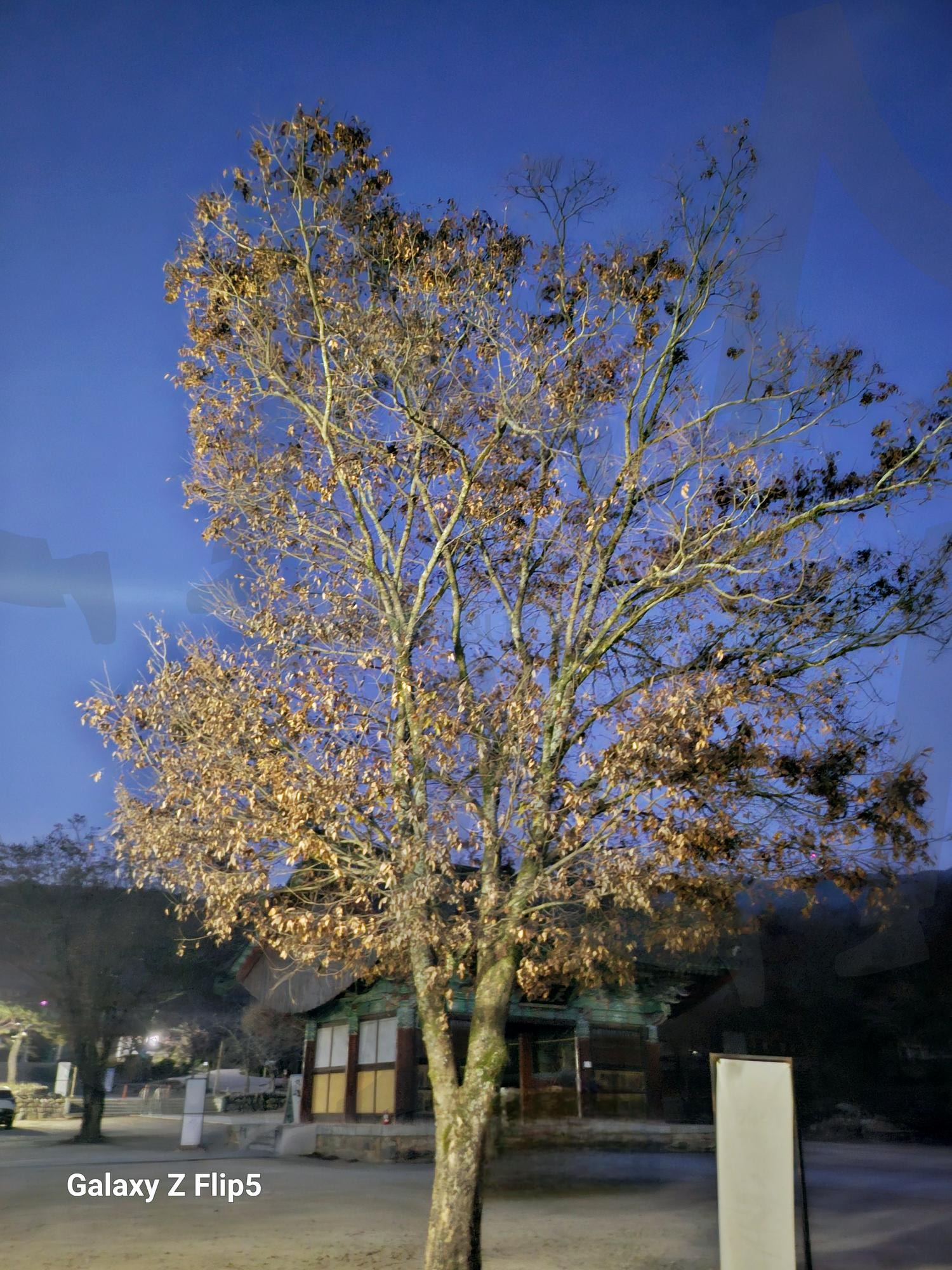 김제 금산사의 야경 | 김제 금산사, 미륵전, 야경, 스님, 국보 제 62호, 겨울맞이 | 스탠바이 STANDBUY 디지털 콘텐츠