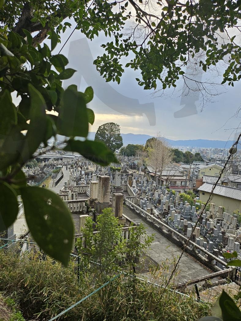 일본 교토 후시미 이나리 | 일본, 교토, 후시미이나리, 신사, 여행 | 스탠바이 STANDBUY 디지털 콘텐츠