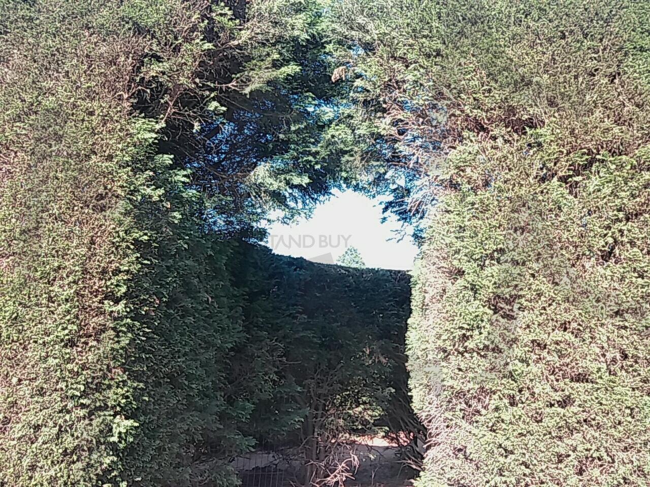 김녕 미로공원 | 제주도, 미로공원, 김녕 미로공원, 제주도 여행지, 제주도 여행, 제주도 미로공원 | 스탠바이 STANDBUY 디지털 콘텐츠