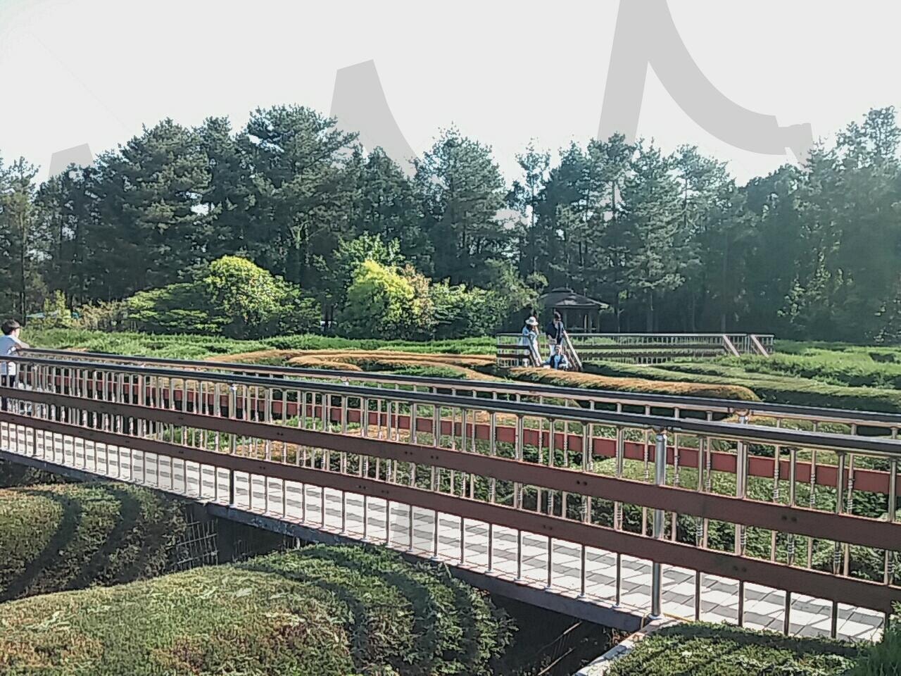 제주도 김녕 미로공원_5 | 제주도, 제주도 여행, 미로공원, 김녕 미로공원, 제주도 김녕 미로공원 | 스탠바이 STANDBUY 디지털 콘텐츠