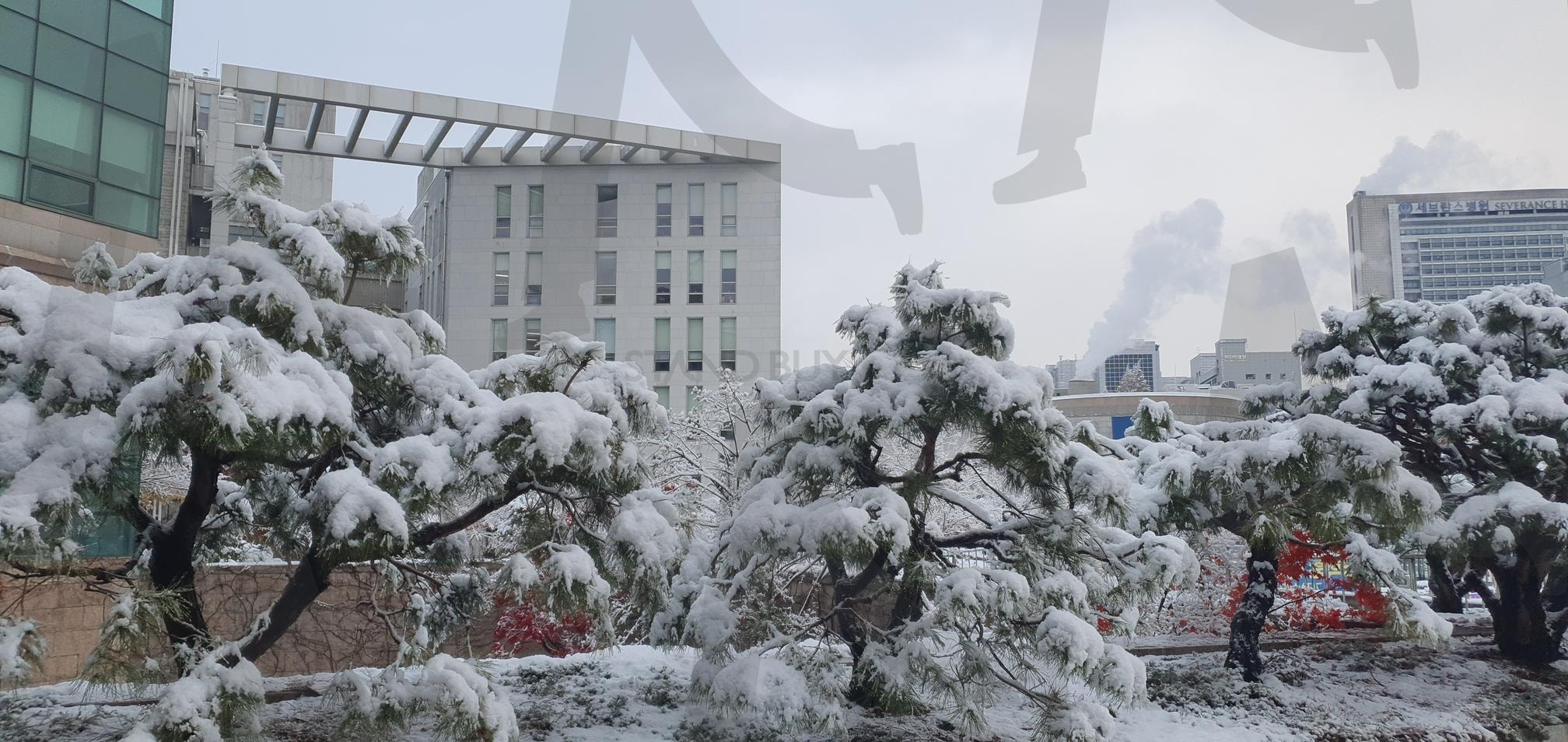 첫눈 내리는 날 | 첫눈, 눈, 자연, 눈내린건물, 설경, 경관, 눈내린날, snow | 스탠바이 STANDBUY 디지털 콘텐츠