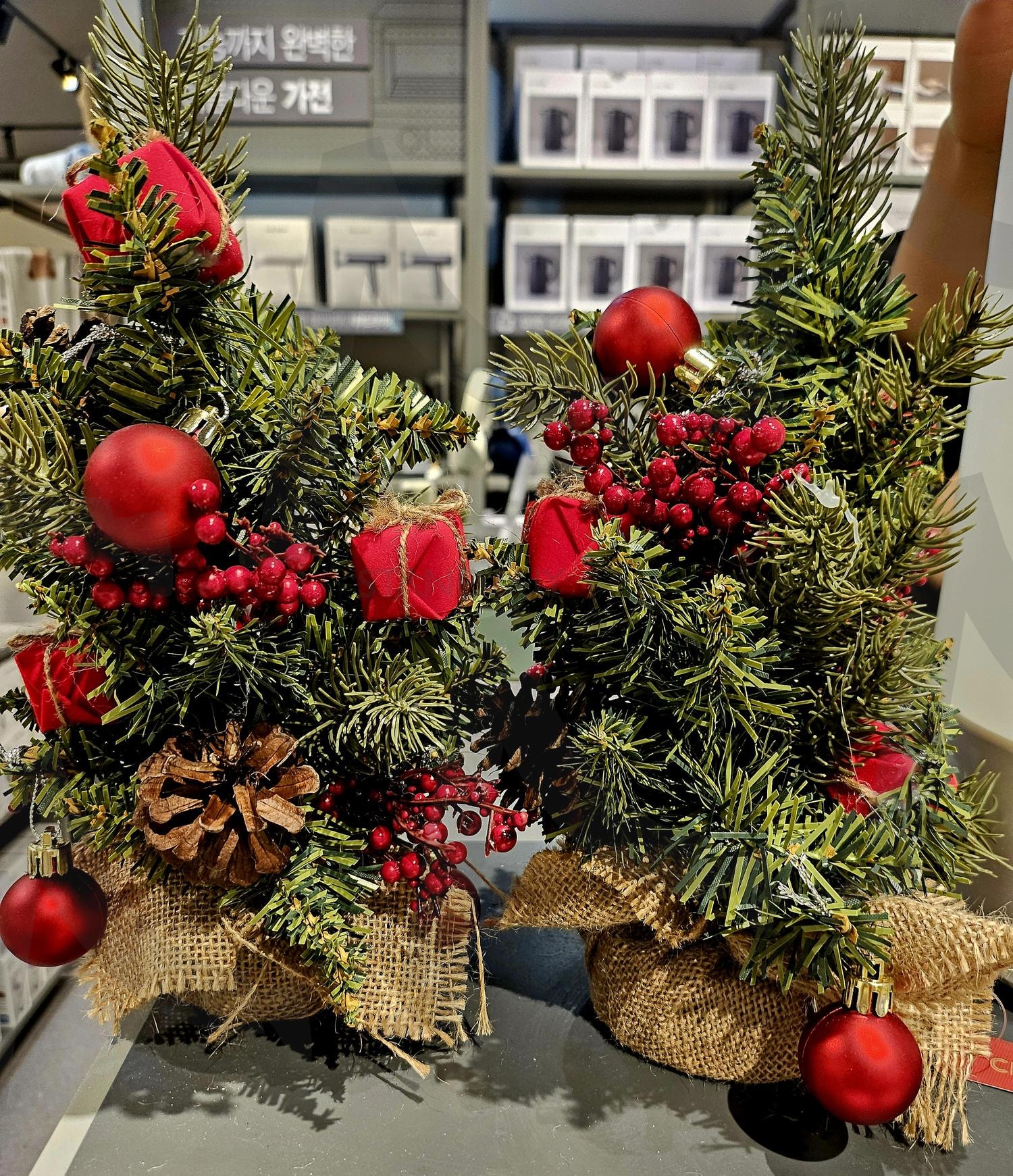 크리스마스 트리!!^^ 너무 좋아요~ | 🌲 🎄 🌲 🎄, 크리스마스, 12월, 25일, 트리용품, 가득해요~~, 다양해서, 고민하게 되는게 고민, 현명한 소비, 돈 아끼려했는데, 구매욕상승 | 스탠바이 STANDBUY 디지털 콘텐츠