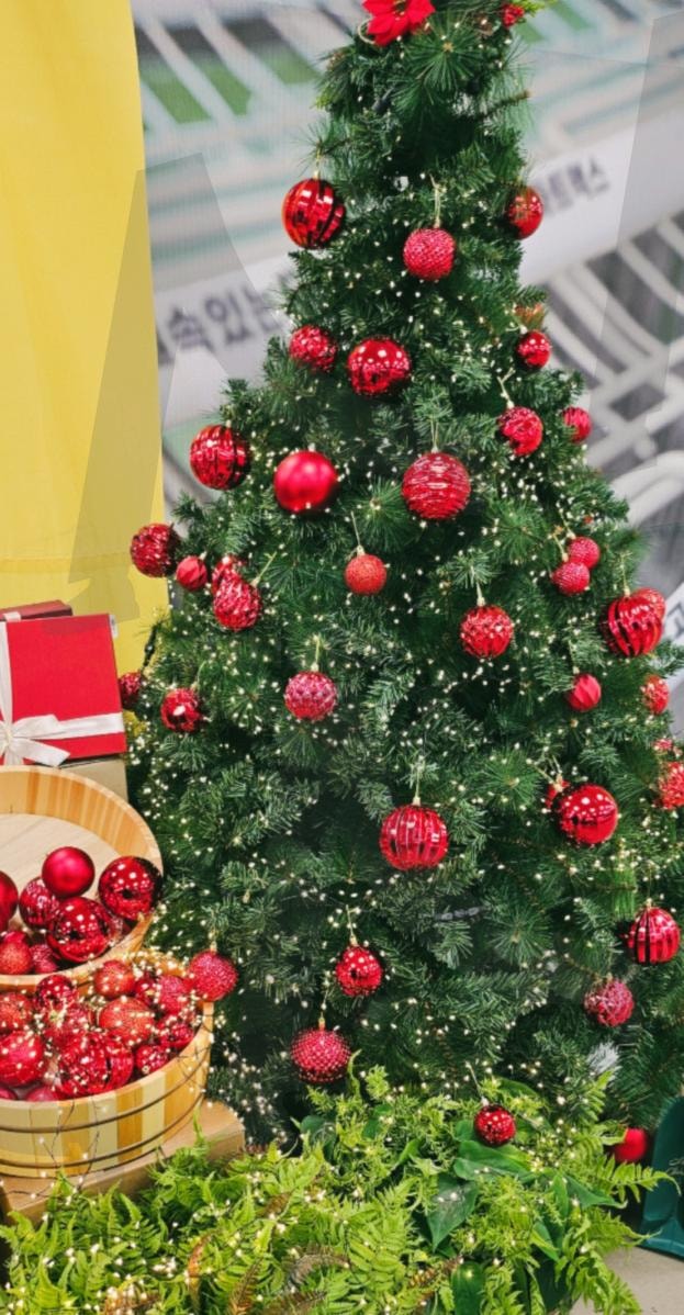 어디가든 크리스마스 분위기입니다. | 12월25일, 크리스마스, 트리는 국룰이죠~~, 눈이호강, 전주, 송천동, 롯데맥스, 대형마트, 🌲 🎄 🌲 🎄 | 스탠바이 STANDBUY 디지털 콘텐츠