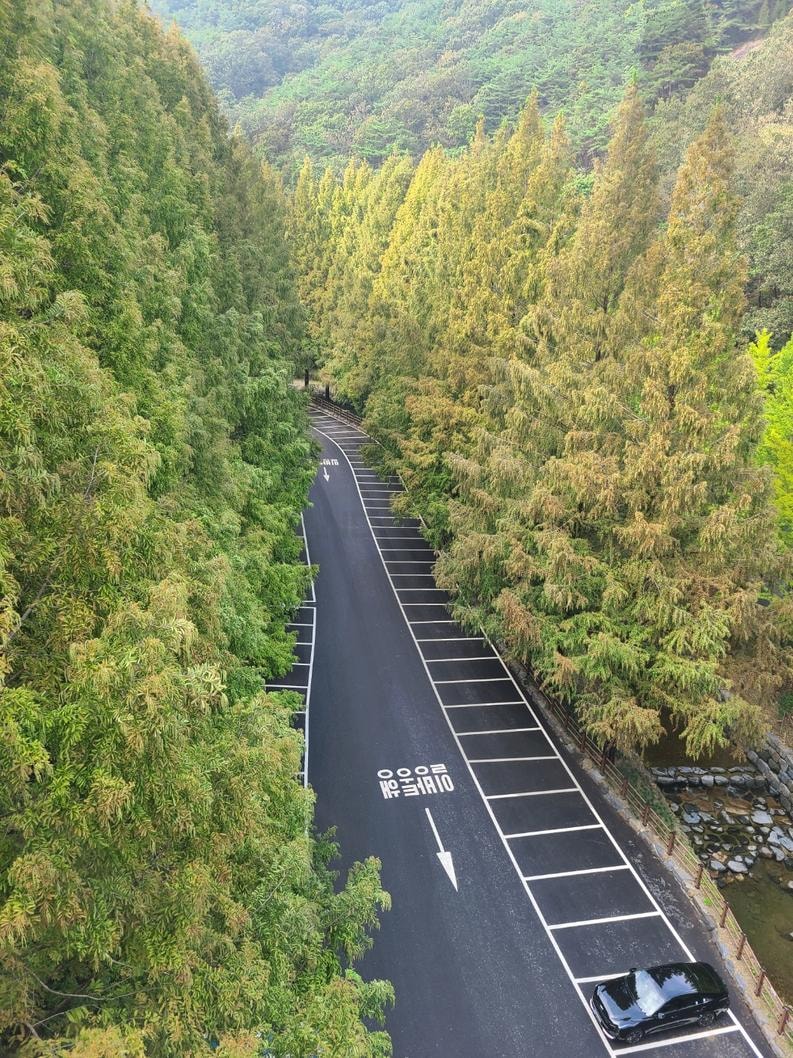 대전장태산자연휴양림 | 대전, 대전여행, 대전장태산, 대전장태산자연휴양림, 대전장태산자연휴양림출렁다리, 한국, 한국대전, 한국 산 | 스탠바이 STANDBUY 디지털 콘텐츠