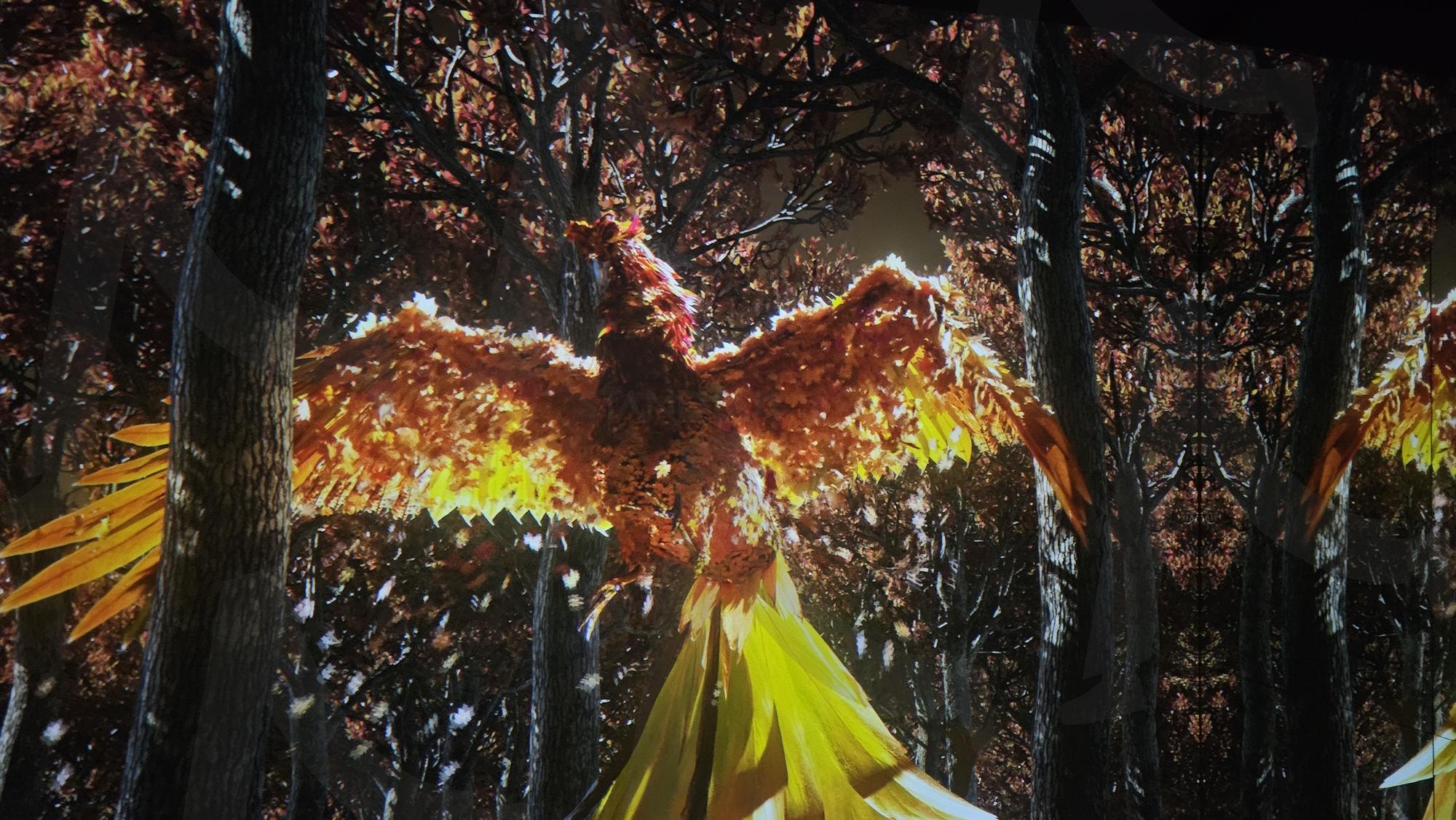 강릉 아르떼뮤지엄_내부 | 강릉, 강릉여행, 강릉 데이트코스, 주작, 아르떼뮤지엄, 미디어아트, 강릉 아르떼뮤지엄, 불사조 | 스탠바이 STANDBUY 디지털 콘텐츠