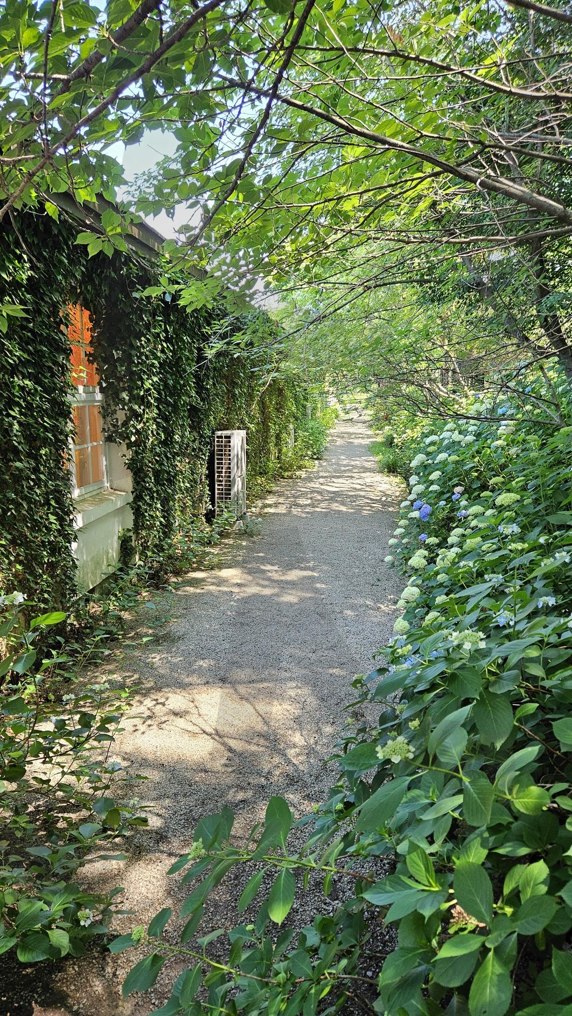 당진 아미미술관_주변 | 당진, 당진여행, 당진 아미미술관, 아미미술관, 당진 데이트코스, 당진 여행, 충남 데이트코스 | 스탠바이 STANDBUY 디지털 콘텐츠