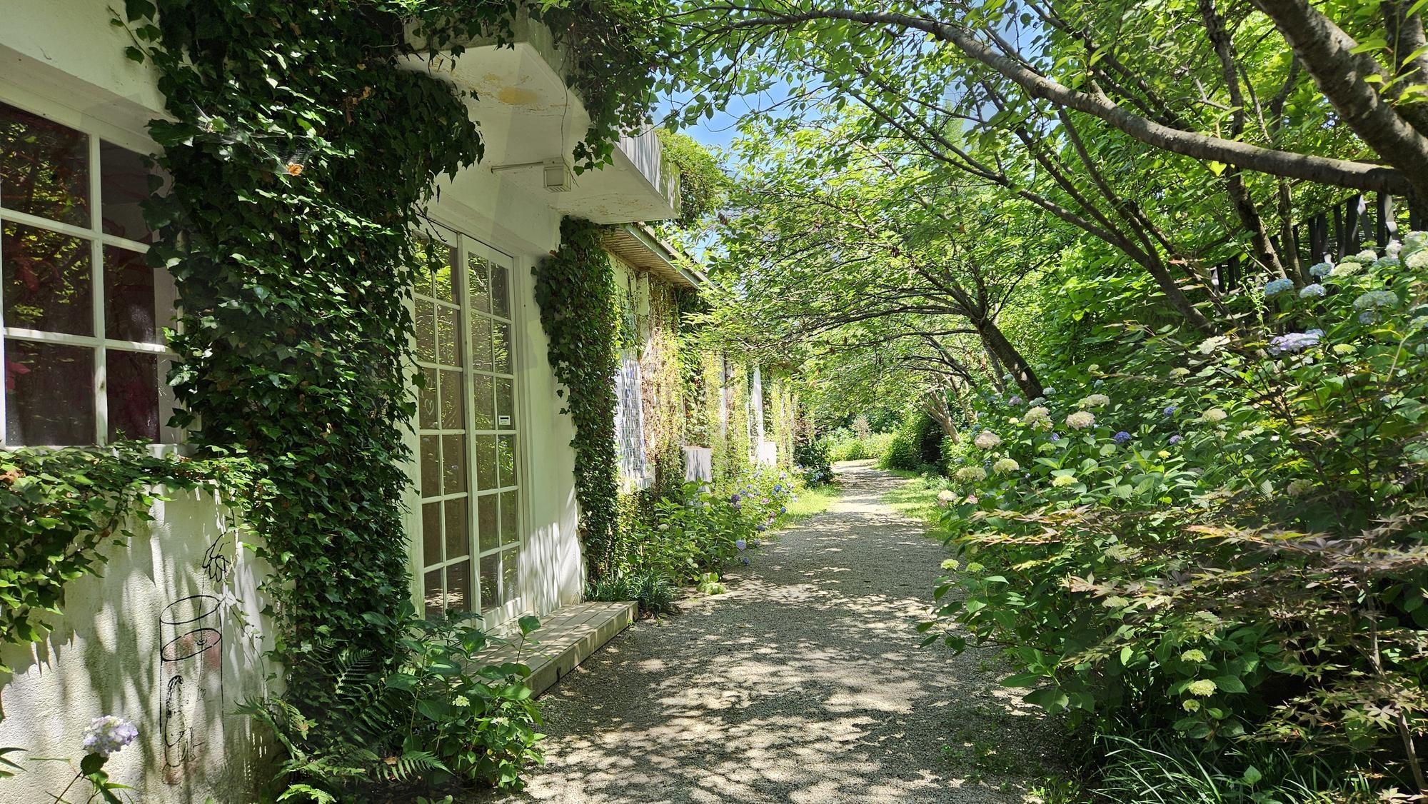 당진 아미미술관_주변 | 당진, 당진여행, 당진 데이트코스, 데이트코스, 아미미술관, 당진 아미미술관 | 스탠바이 STANDBUY 디지털 콘텐츠