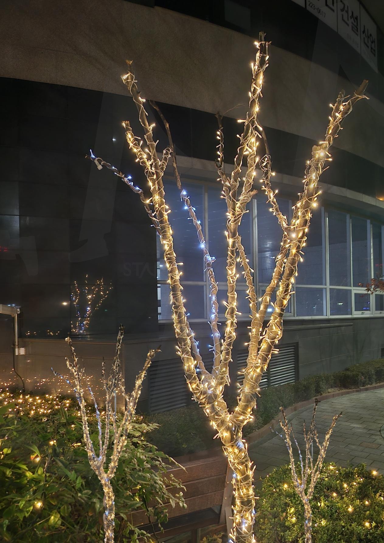 전주 첫눈오는 날 밤 | 12월 7일, 24년, 첫눈, 겨울, 흥분의 도가니, 어린아이, 강아지 | 스탠바이 STANDBUY 디지털 콘텐츠