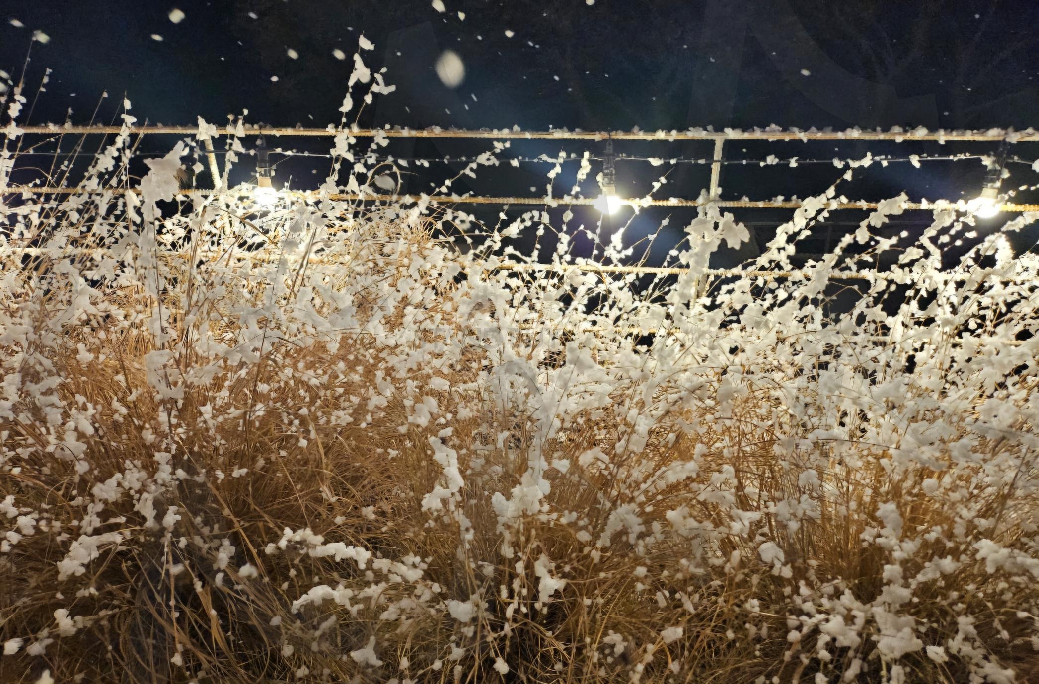 김제 금구면 "대율담" | 황금잔디, 억새, 눈꽃나무, 포토, 낭만가득한곳, 저수지뷰, 노을맛집 | 스탠바이 STANDBUY 디지털 콘텐츠