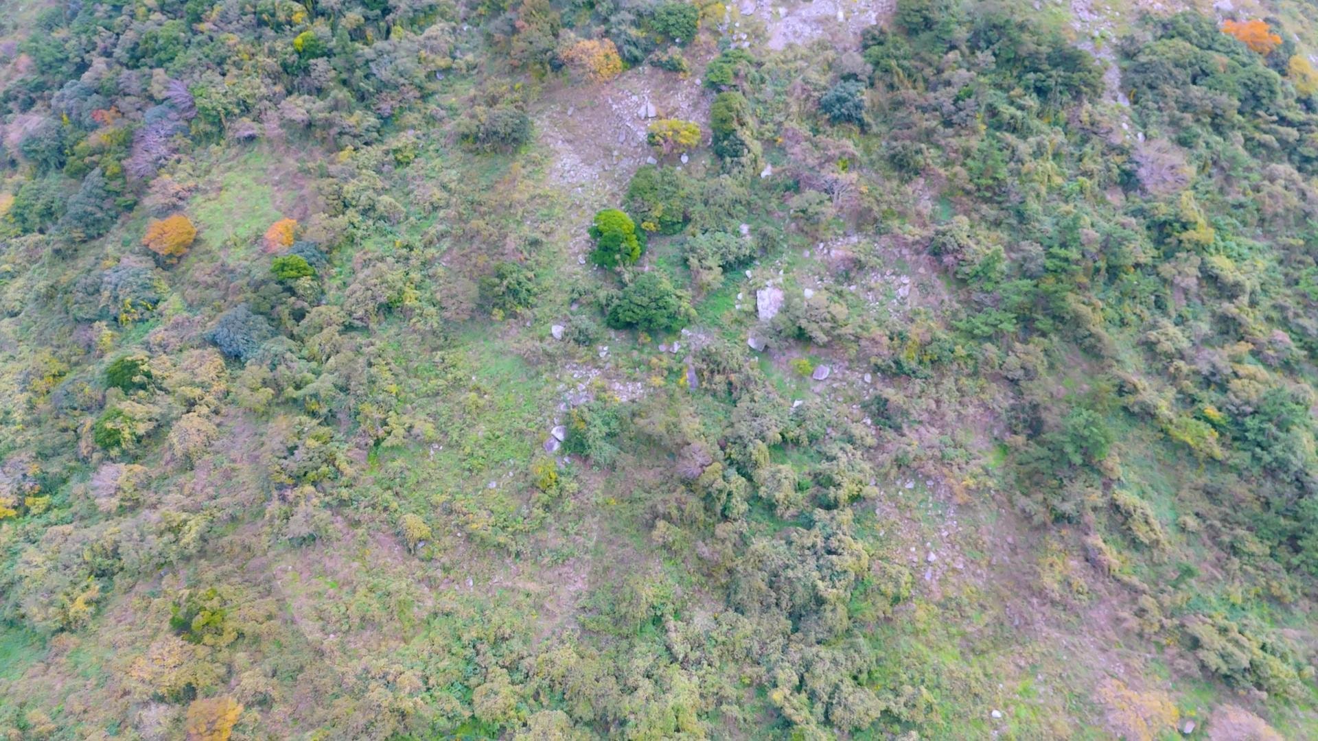 제주도 안덕면 사계리 산방산 아래에 있는 제주 시골마을의 아름다운 풍경을 드론으로 촬영한 영상.겨울이지만 배추,당근 양배추 등이 푸르게 자라고 있는 힐링되는 자연 | 제주도, 여행, 힐링, 감성, 산방산, 풍경, 배경, 초록, 겨울 | 스탠바이 STANDBUY 디지털 콘텐츠