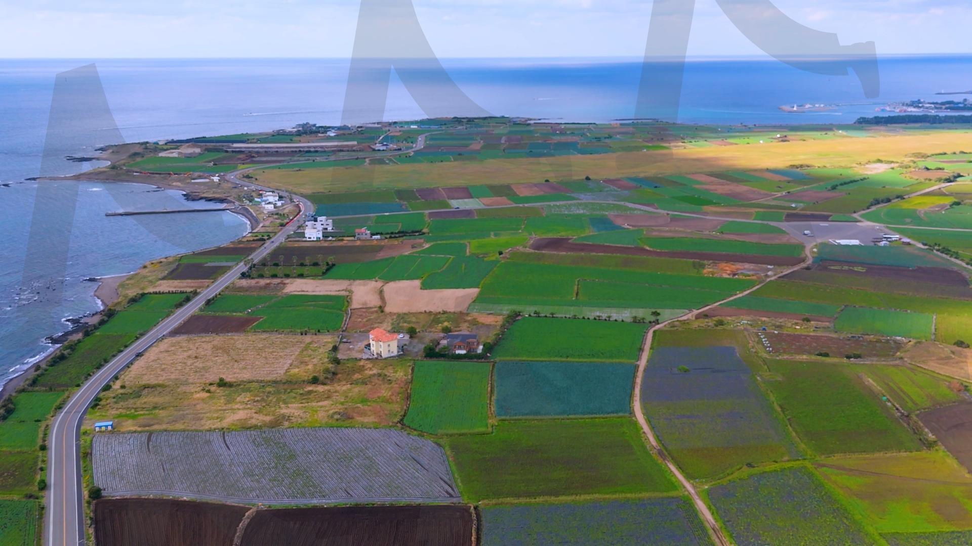 제주도 안덕면 사계리 송악산의 아름다운 바다 풍경을 드론으로 촬영한 영상.겨울 해질녘 초록색 힐링되는 파도가 넘실거리는 대자연의 모습. 해안도로를 따라 산책하는 풍경 | 제주도, 여행, 힐링, 감성, 송악산, 풍경, 배경, 초록, 겨울 | 스탠바이 STANDBUY 디지털 콘텐츠