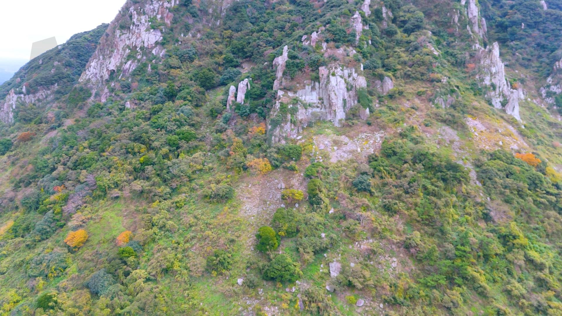 제주도 안덕면 사계리 산방산 아래에 있는 제주 시골마을의 아름다운 풍경을 드론으로 촬영한 영상.겨울이지만 배추,당근 양배추 등이 푸르게 자라고 있는 힐링되는 자연 | 제주도, 여행, 힐링, 감성, 산방산, 풍경, 배경, 초록, 겨울 | 스탠바이 STANDBUY 디지털 콘텐츠