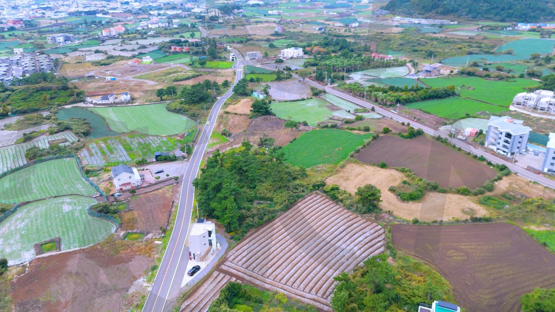 제주도 안덕면 사계리 산방산 아래에 있는 제주 시골마을의 아름다운 풍경을 드론으로 촬영한 영상.겨울이지만 배추,당근 양배추 등이 푸르게 자라고 있는 힐링되는 자연 | 제주도, 여행, 힐링, 감성, 산방산, 풍경, 배경, 초록, 겨울 | 스탠바이 STANDBUY 디지털 콘텐츠