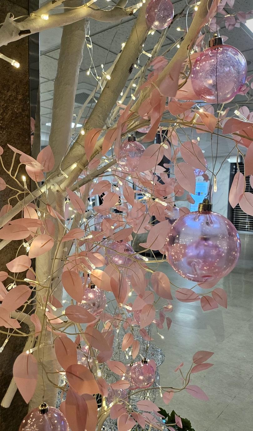 예수병원 실내 트리장식 | 실내, 핑크, 센스있는 선택, 박수, 너무 예뻐요, 시선강탈, 아파서 병원가는 길 모두 없기를... | 스탠바이 STANDBUY 디지털 콘텐츠