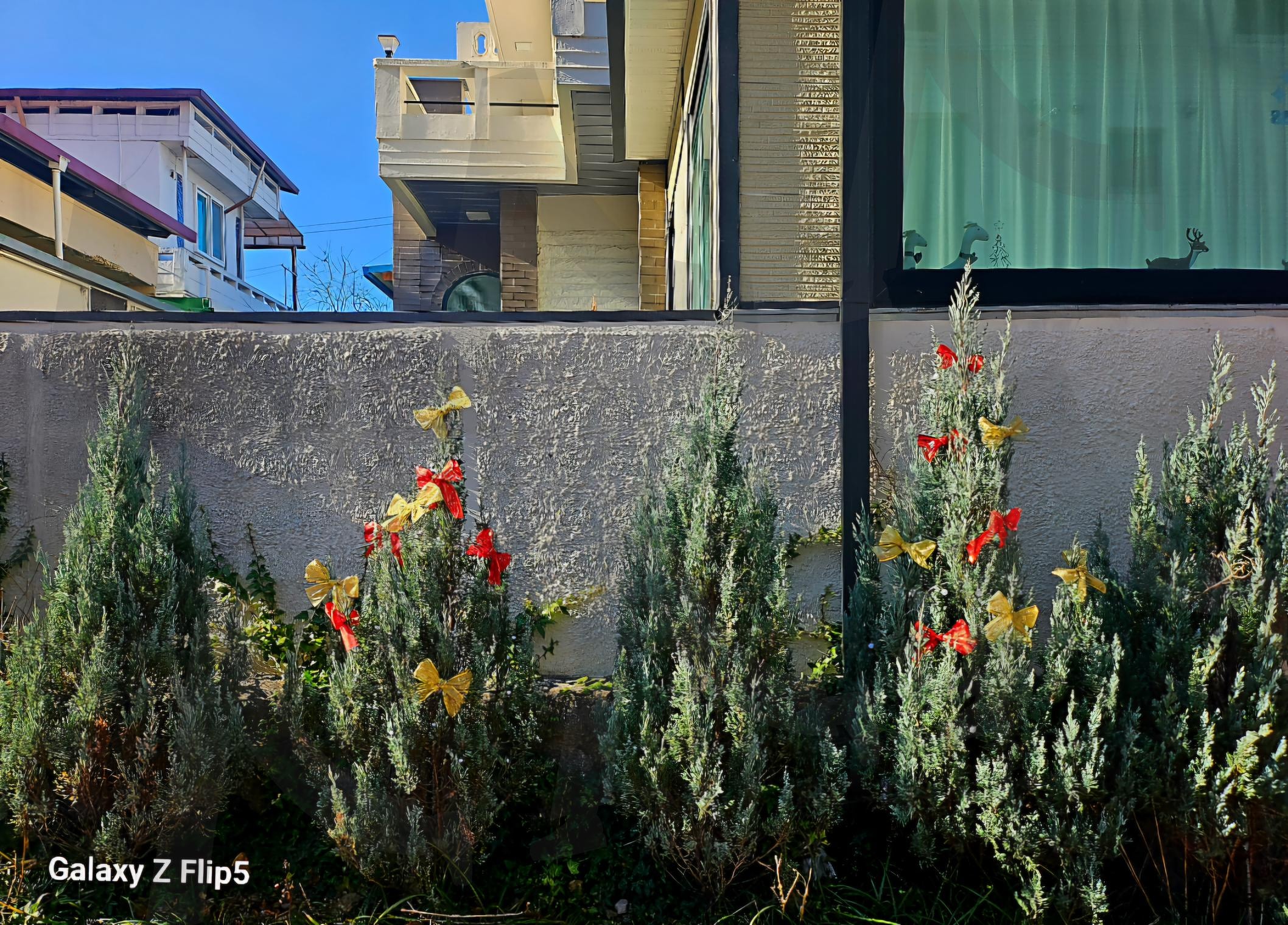 크리스마스 분위기 잔잔하게 나는 집 앞 | 우리집, 주변, 너무 이뻐서, 카메라, 찰칵, 이쁜게 너무 많은 세상 | 스탠바이 STANDBUY 디지털 콘텐츠