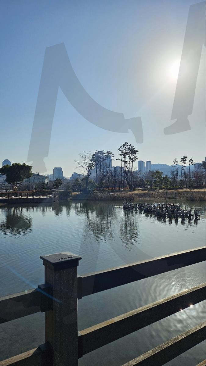 공원 내부 호수 풍경 | 부산, 부산시민공원, 배경, 풍경, 물, 호수, 공원, 겨울, 가을 | 스탠바이 STANDBUY 디지털 콘텐츠