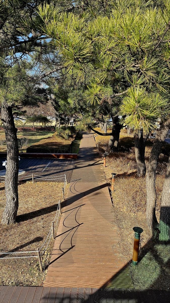 공원길과 나무 | 공원, 나무, 풍경, 부산, 부산시민공원, 겨울, 가을, 자연 | 스탠바이 STANDBUY 디지털 콘텐츠