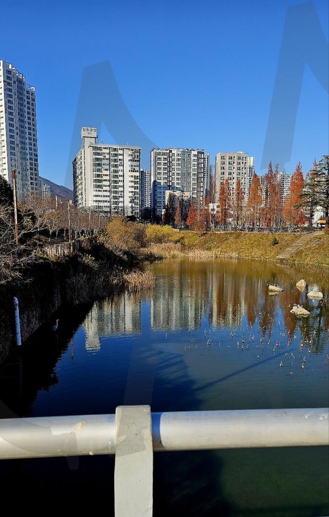 공원 내 호수 | 부산, 부산시민공원, 공원, 호수, 다리, 배경, 풍경, 가을, 겨울 | 스탠바이 STANDBUY 디지털 콘텐츠