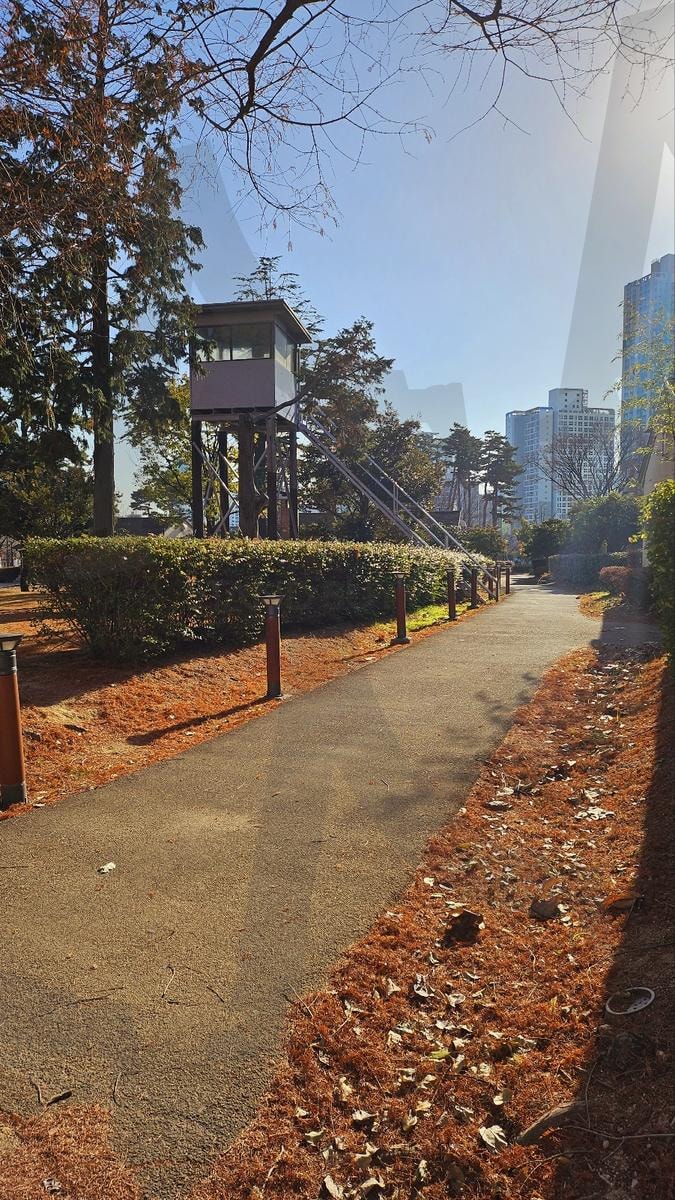 공원 산책길 | 부산, 부산시민공원, 공원, 풍경, 배경, 가을, 겨울, 산책길, 하늘, 길 | 스탠바이 STANDBUY 디지털 콘텐츠