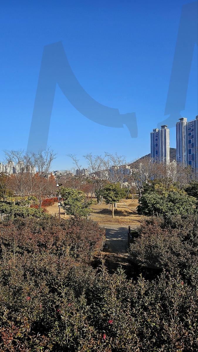 공원의 풍경과 푸른하늘 | 하늘, 공원, 풍경, 부산시민공원, 부산, 배경, 자연, 풀, 들판 | 스탠바이 STANDBUY 디지털 콘텐츠