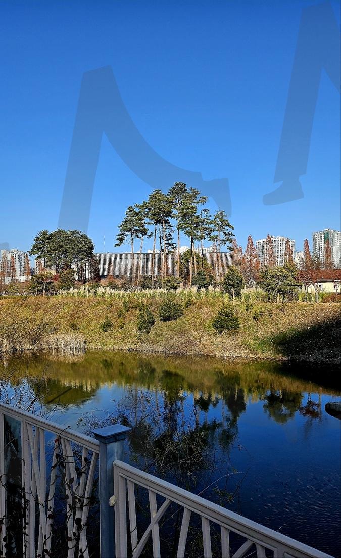 공원 호수와 풍경 | 부산, 부산시민공원, 공원, 호수, 나무, 하늘, 배경, 풍경 | 스탠바이 STANDBUY 디지털 콘텐츠