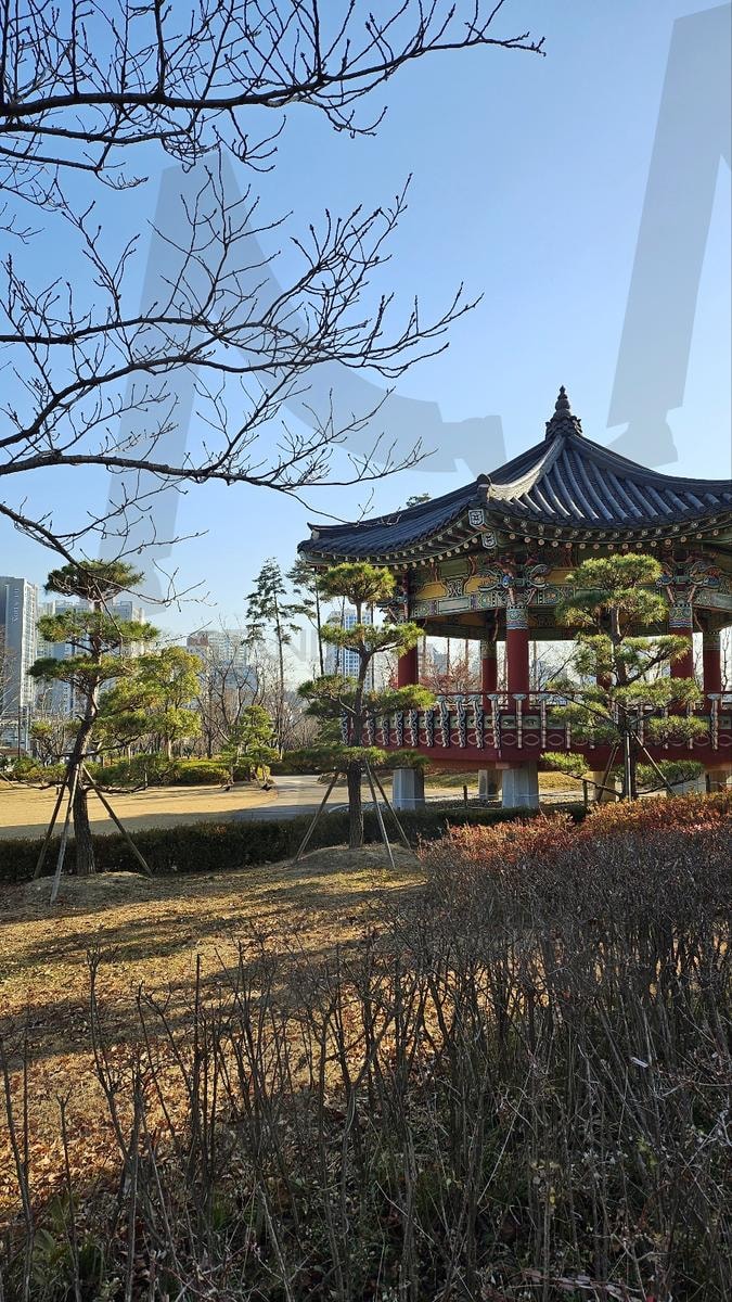 공원 내부 정자와 풍경 | 정자, 배경, 풍경, 자연, 하늘, 부산, 부산시민공원, 풀, 들판 | 스탠바이 STANDBUY 디지털 콘텐츠