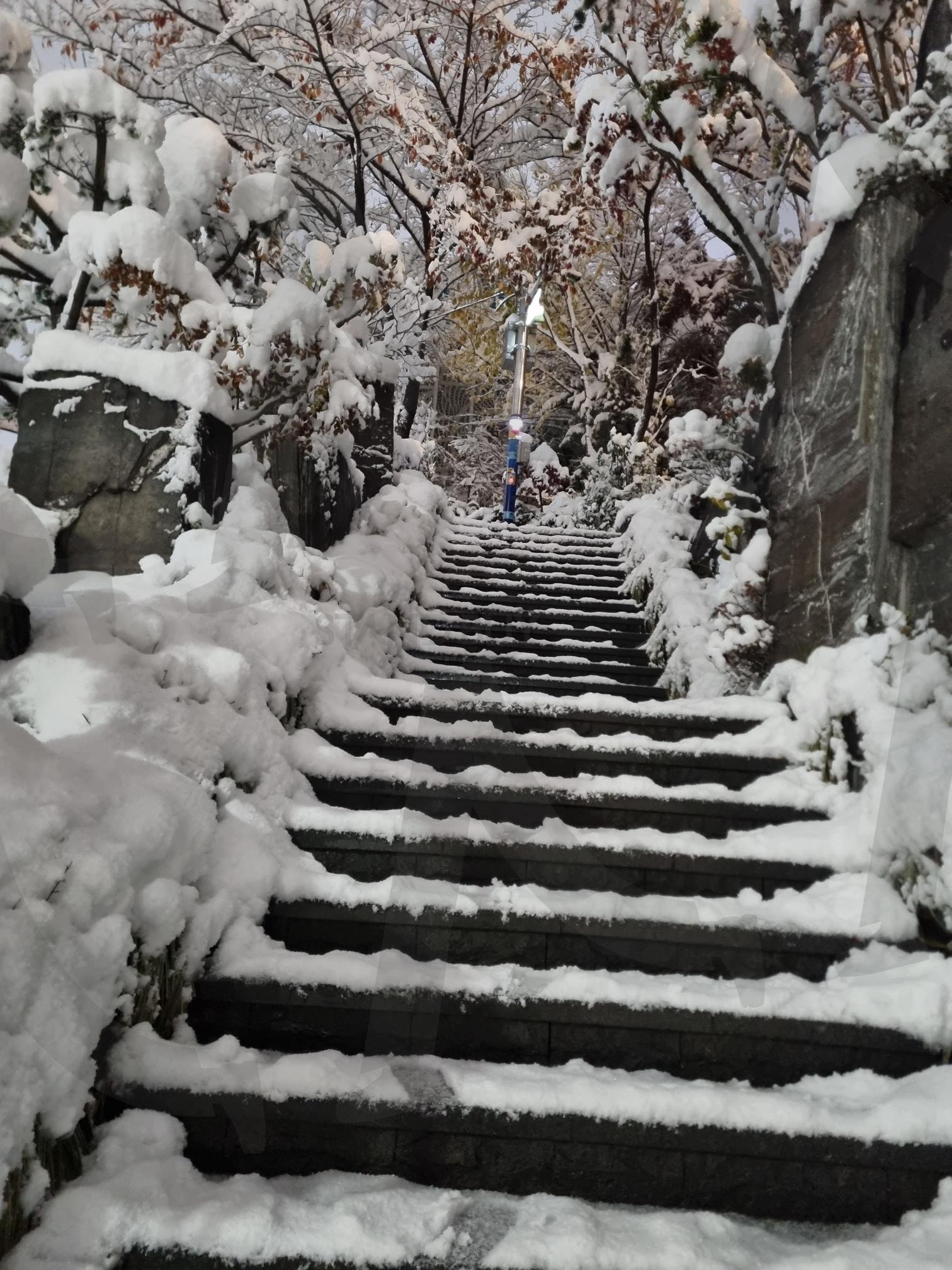 Stairs Blooming with Snowflakes (눈꽃이 피어난 계단) | 겨울, 계단, 눈, 눈꽃, 친구, 행복, 외로움, 쓸쓸함, 다시 헤어질 인연, 서울, 금천구 | 스탠바이 STANDBUY 디지털 콘텐츠