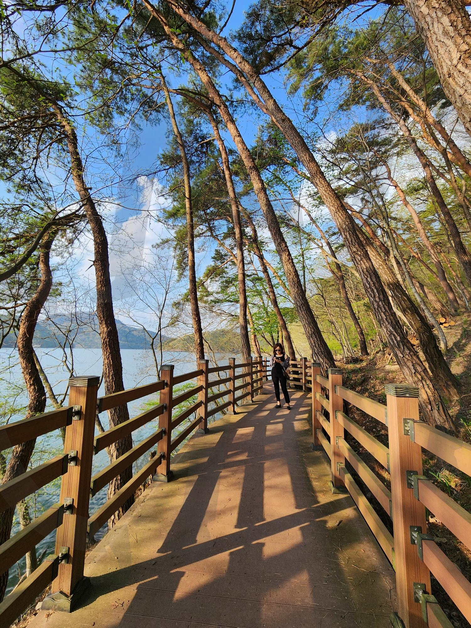 전남 장성호 수변길 산책 Walking on Jangseongho Waterfront Road, South Jeolla Province | 전남 장성호 수변길 산책 Walking on Jangseongho Waterfront Road, 장성호 산택, 수변길 산택, 호수 걷기, 수변길 걷기 | 스탠바이 STANDBUY 디지털 콘텐츠