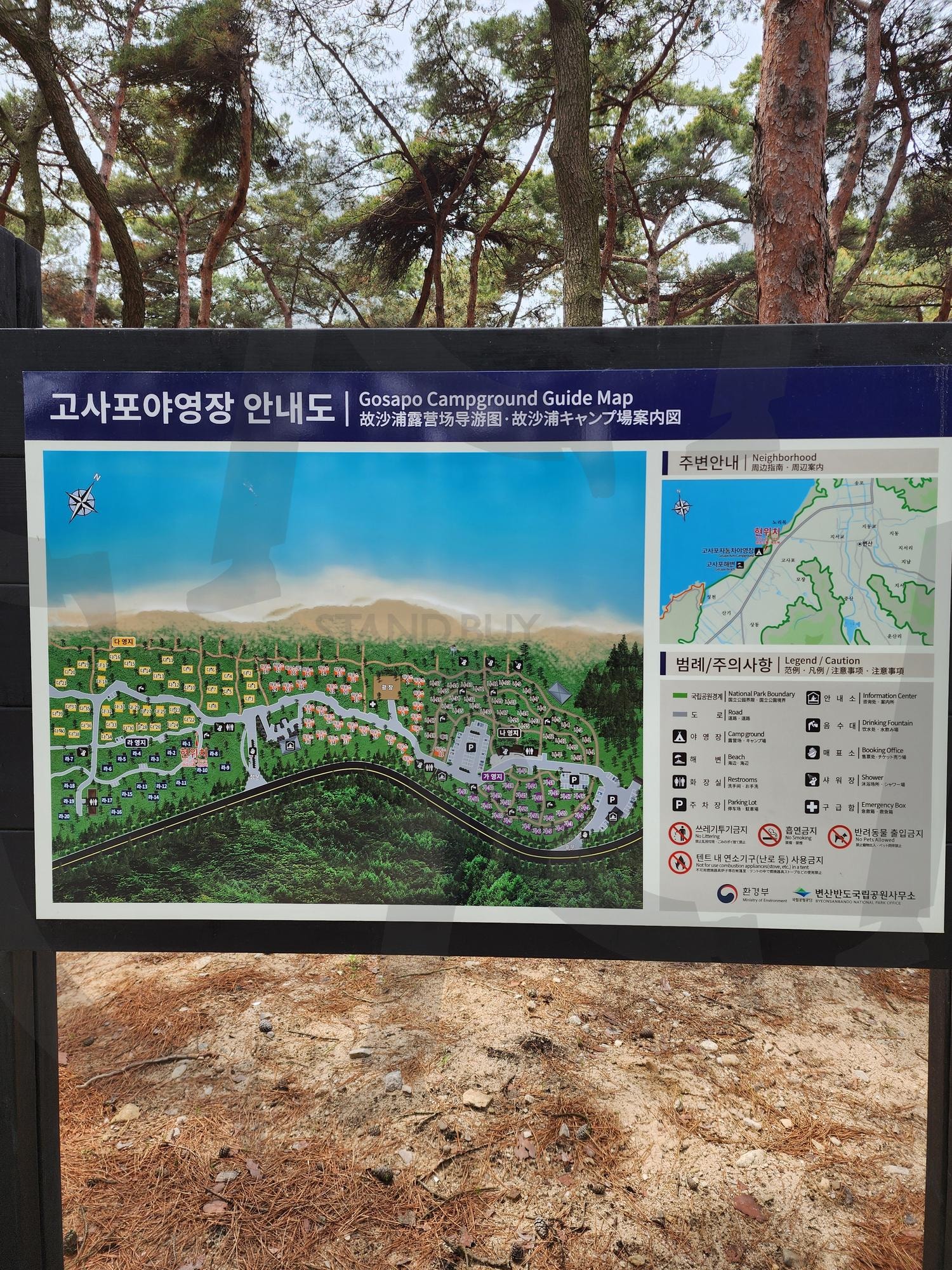 전남 고사포 야영장 캠핑 안내도 Camping Guide to Gosapo Campground in Jeollanam-do | 전남 고사포 야영장 캠핑 안내도 Camping Guide to Gosapo Campground in Jeollanam-do, 캠핑, 야영, 고사포 야영, 고사포 캠핑 | 스탠바이 STANDBUY 디지털 콘텐츠