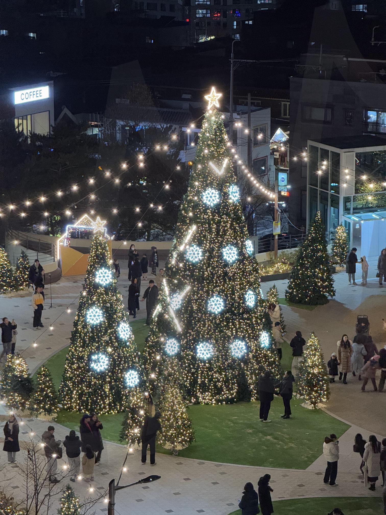 대구 앞산빨래터공원 크리스마스 트리 | 대구, 대구앞산, 앞산, 앞산빨래터공원, 대구앞산빨래터공원, 크리스마스, 크리스마스트리, 트리, 야경, 앞산빨래터공원야경, Daegu, Christmas, Christmas tree, tree | 스탠바이 STANDBUY 디지털 콘텐츠
