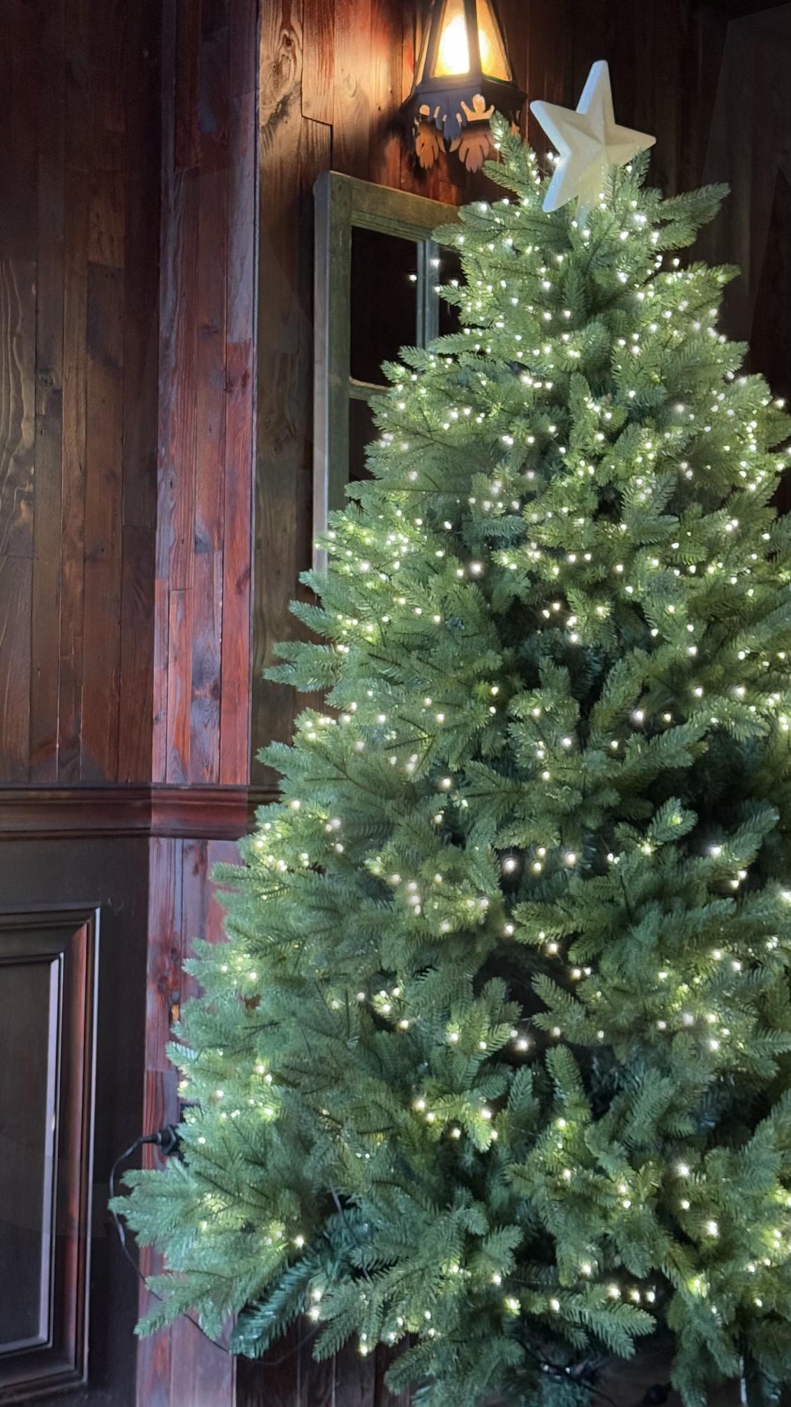 대구 카페 크리스마스 트리 배경 사진 | 대구, 대구카페, 카페, 크리스마스, 크리스마스트리, 트리사진, 배경사진, 휴대폰배경화면, 배경화면, 16:9, 비율, 16:9비율, 아이폰, 아이폰16프로, iphone16pro | 스탠바이 STANDBUY 디지털 콘텐츠