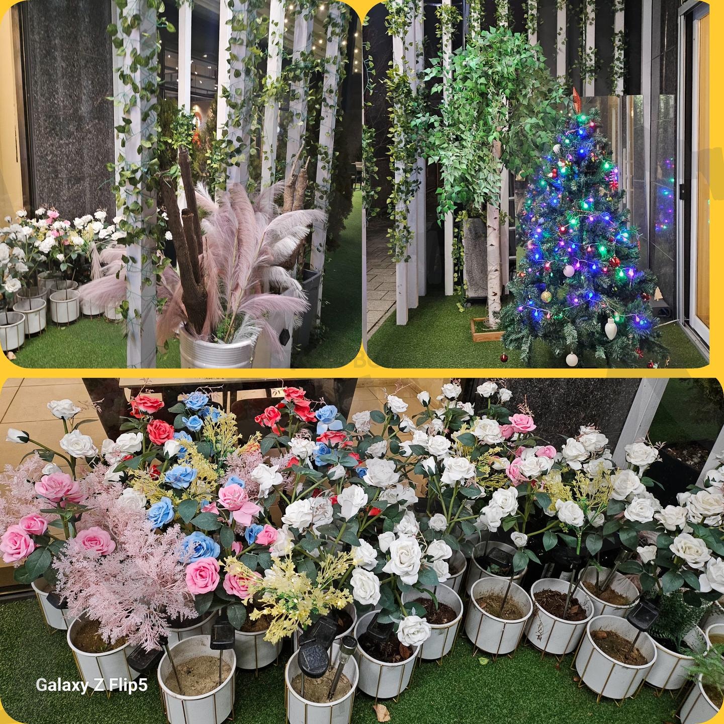 혁신도시 카페 앞 | 꽃, 세상엔, 이쁜게, 너무, 많지만, 꽃은 최고, 나 꽃 너무 사랑함 | 스탠바이 STANDBUY 디지털 콘텐츠