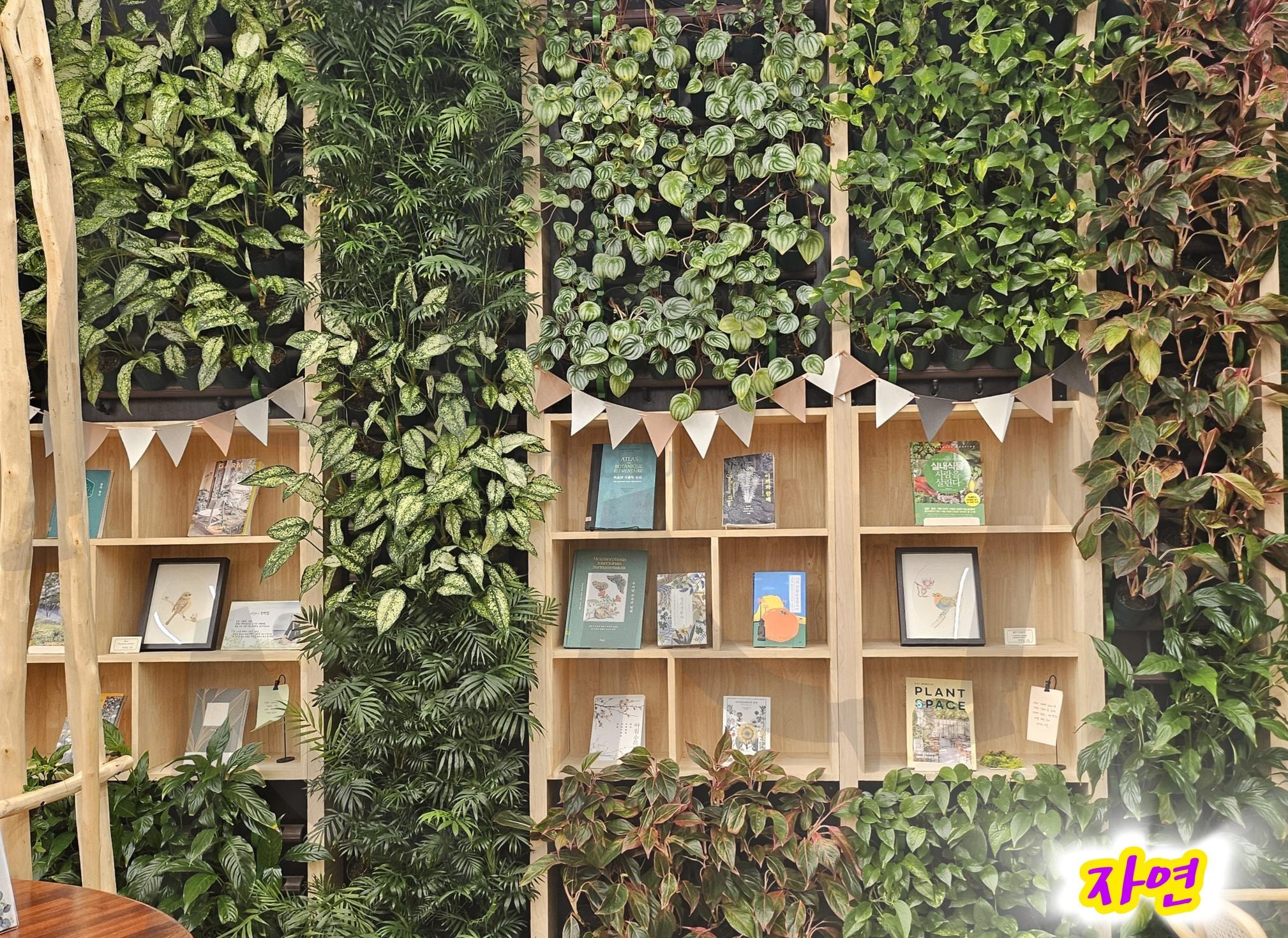 전주 혁신도시 복합문화센터 | 자연, 식물원, 도서관, 전주 서신동, 공원, 자연은 아름다워요 | 스탠바이 STANDBUY 디지털 콘텐츠