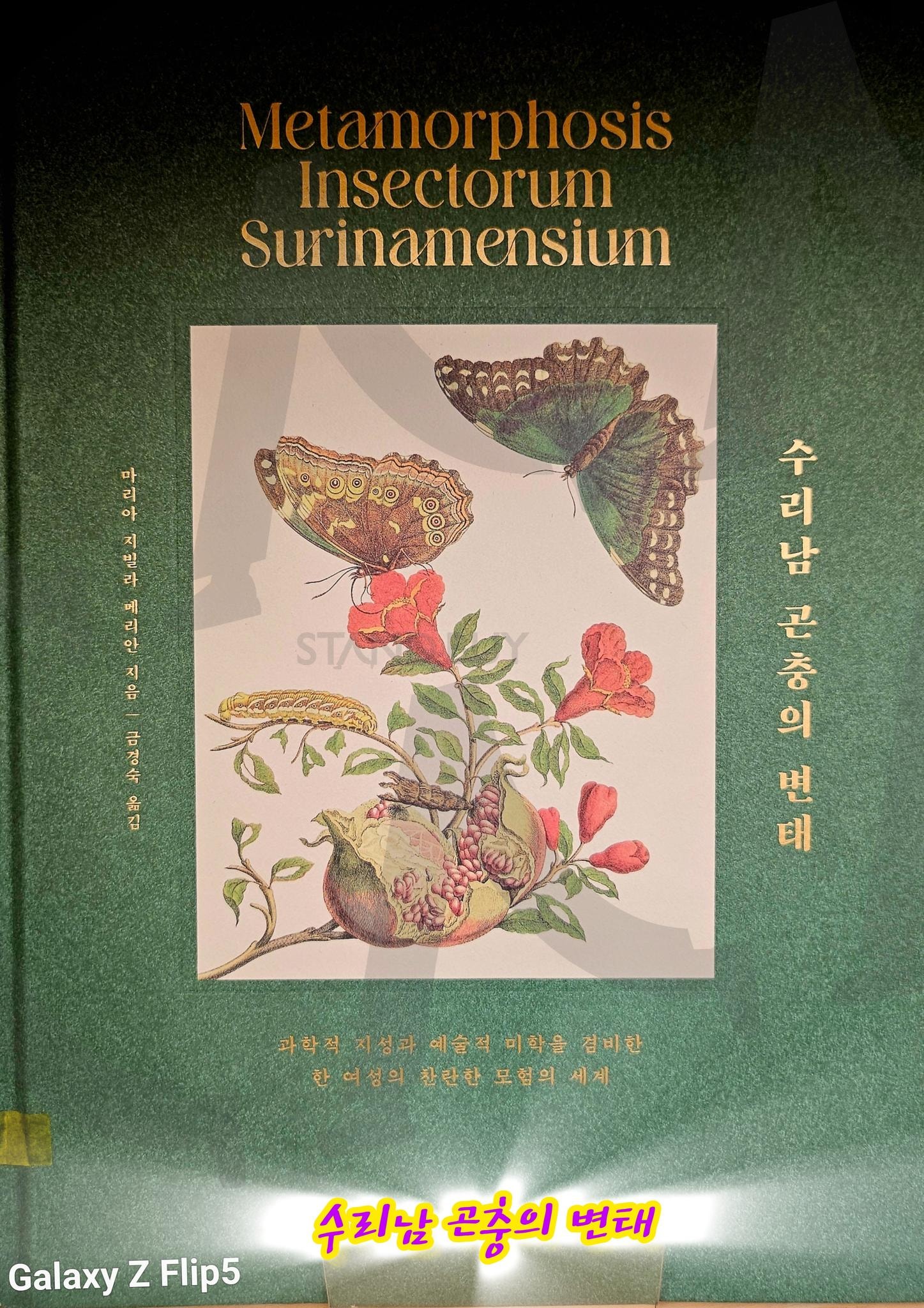 전주 혁신도시 복합문화센터 | 수리남, 변태, 곤충, 도서관, 놀이공간, 무료, 혁신도시, 복합문화센터 | 스탠바이 STANDBUY 디지털 콘텐츠
