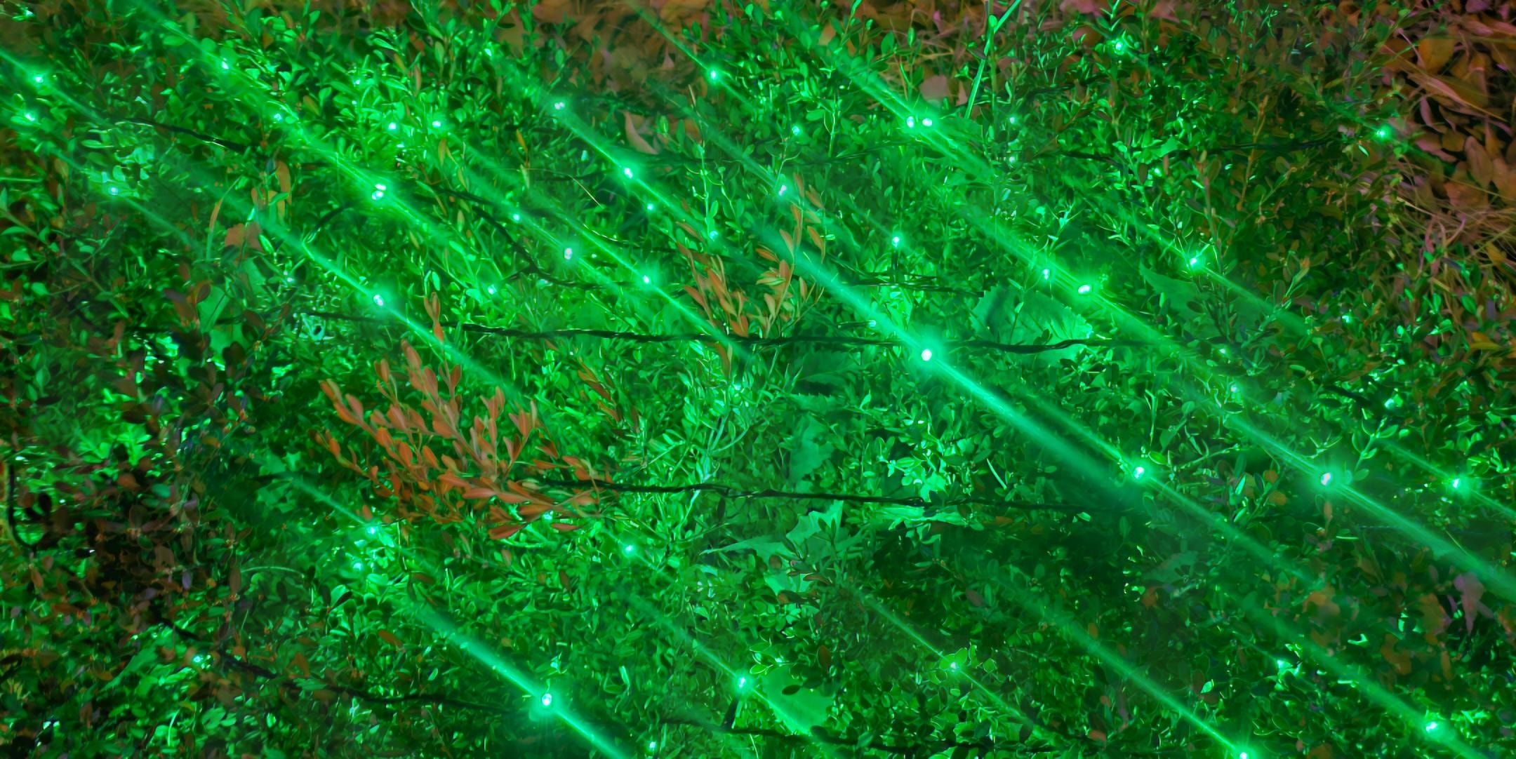 대충찍어도 작품이 되는 곳...오거리 야경명소 | 녹색, 빛, 오거리, 객리단길, 다시가고픈곳, 크리스마스 | 스탠바이 STANDBUY 디지털 콘텐츠