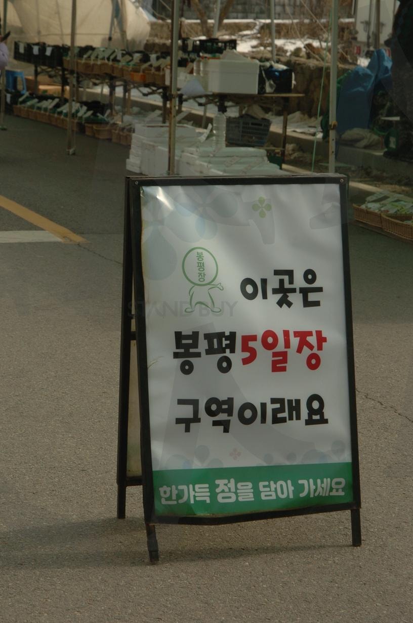 “봉평5일장의 따뜻한 사투리 안내문” | 봉평5일장, 전통시장, 사투리 안내문, 한국 문화, 로컬감성 | 스탠바이 STANDBUY 디지털 콘텐츠