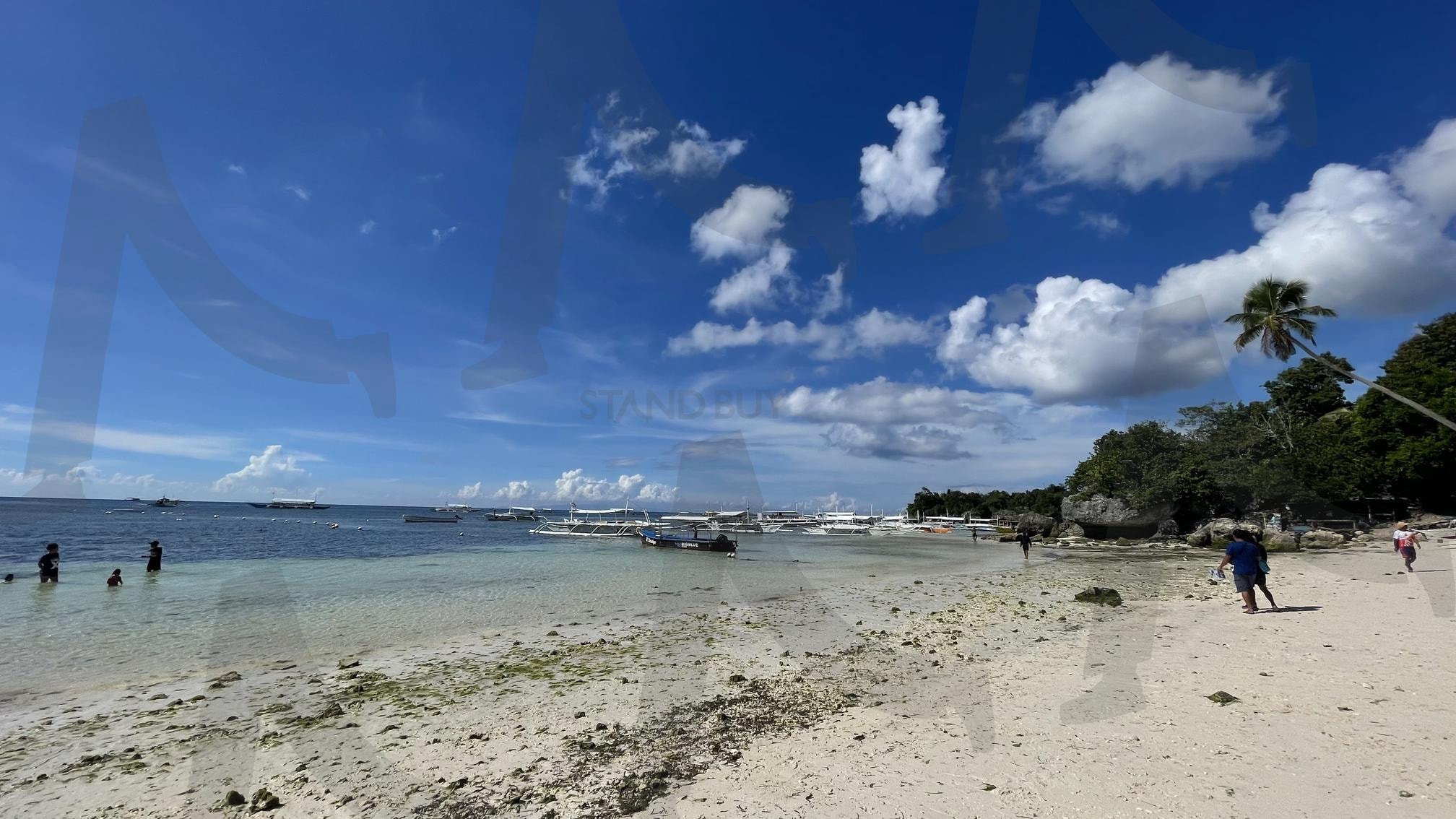 보홀 알로나 비치: 맑은 날의 평화로운 해변” | 보홀, 알로나 비치, 맑은 날, 해변, 휴식 | 스탠바이 STANDBUY 디지털 콘텐츠