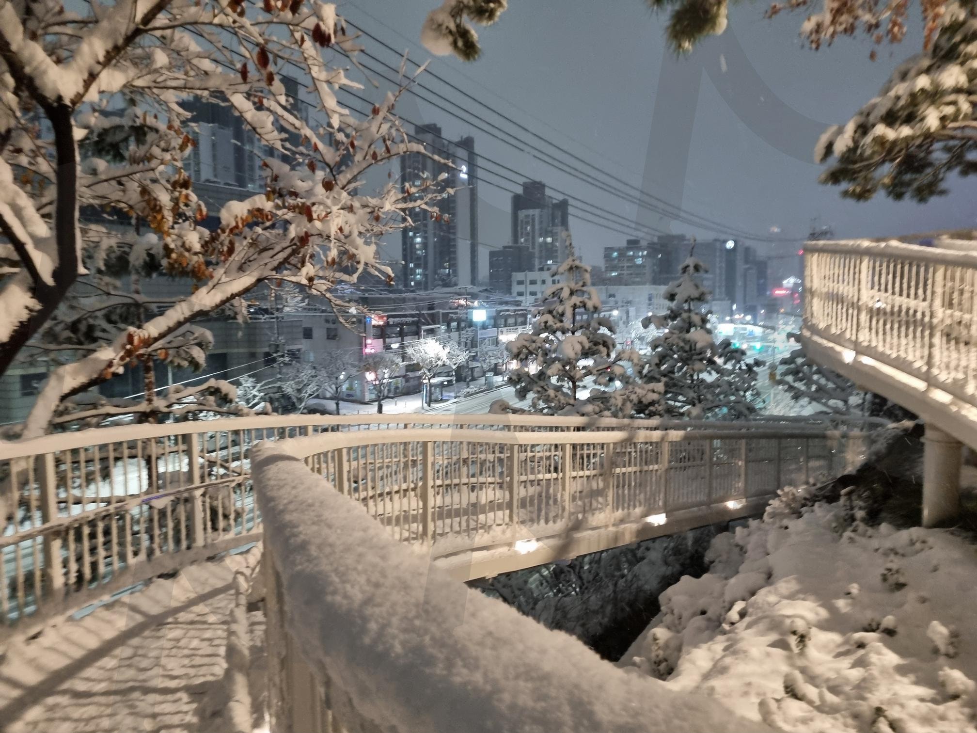 A Little Snowfield in the City (도시 속 작은 설원) | 도시, 눈, 설원, 겨울, 도시에서 자연으로, 겨울 풍경, 야경, 서울, 금천구 | 스탠바이 STANDBUY 디지털 콘텐츠