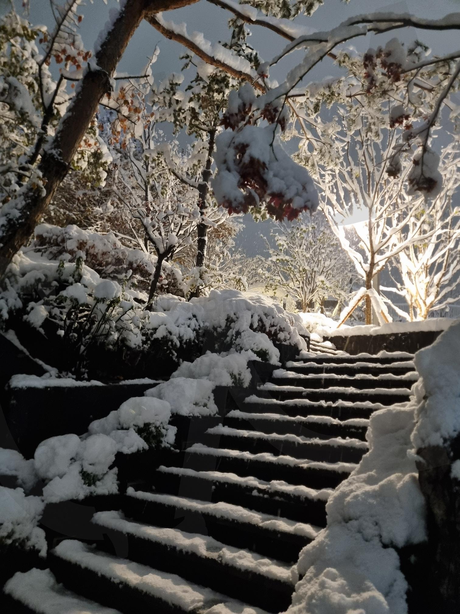 Frozen stairway (눈으로 쌓인 계단) | 서울, 금천구, 폭포공원, 눈, 겨울, 풍경, 계단, 나무, 새롭게 변화, 소금 | 스탠바이 STANDBUY 디지털 콘텐츠