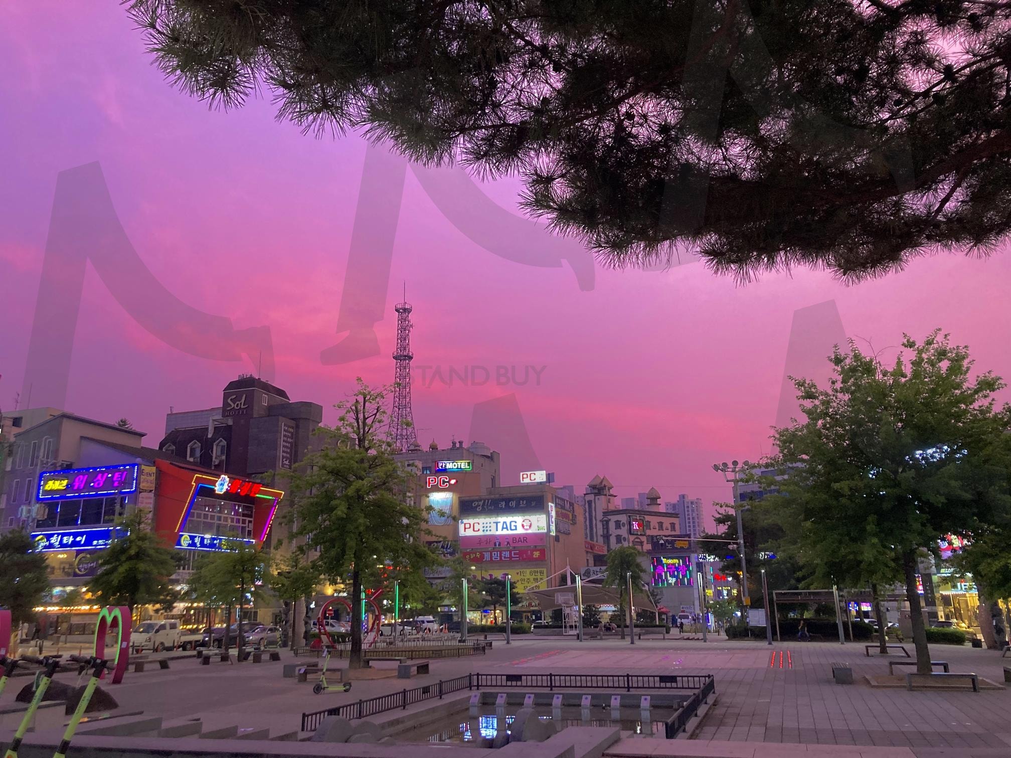 마법 같은 도시의 황혼 ✨ | 도시야경, 핑크빛하늘, 황혼, 도시풍경, 일상의마법, 네온사인, 도시감성 | 스탠바이 STANDBUY 디지털 콘텐츠