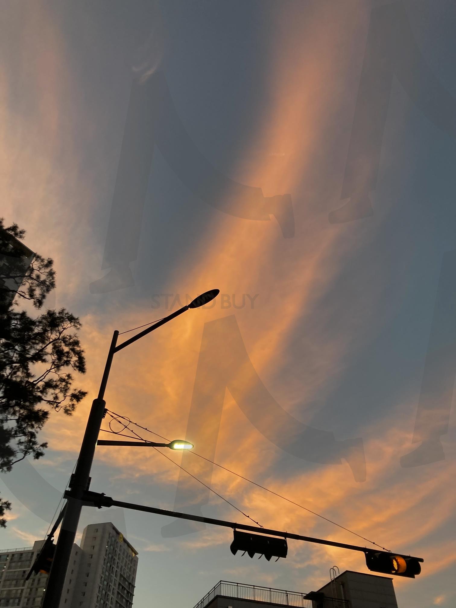 저녁 노을의 아름다움 | 자연, 풍경, 노을, 일상스냅, 구름, 핑크빛 | 스탠바이 STANDBUY 디지털 콘텐츠